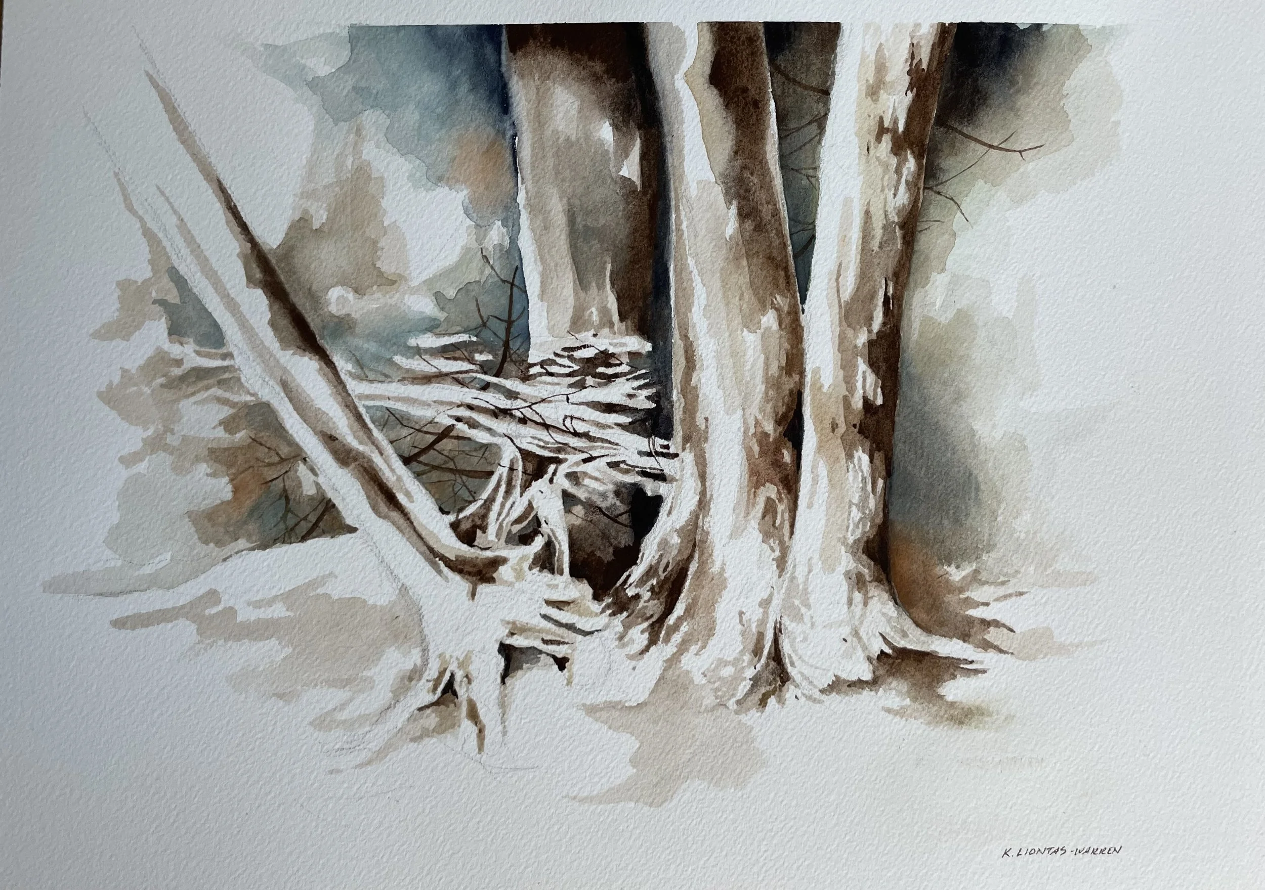 KLW0028 FULL NO FRAME.jpg