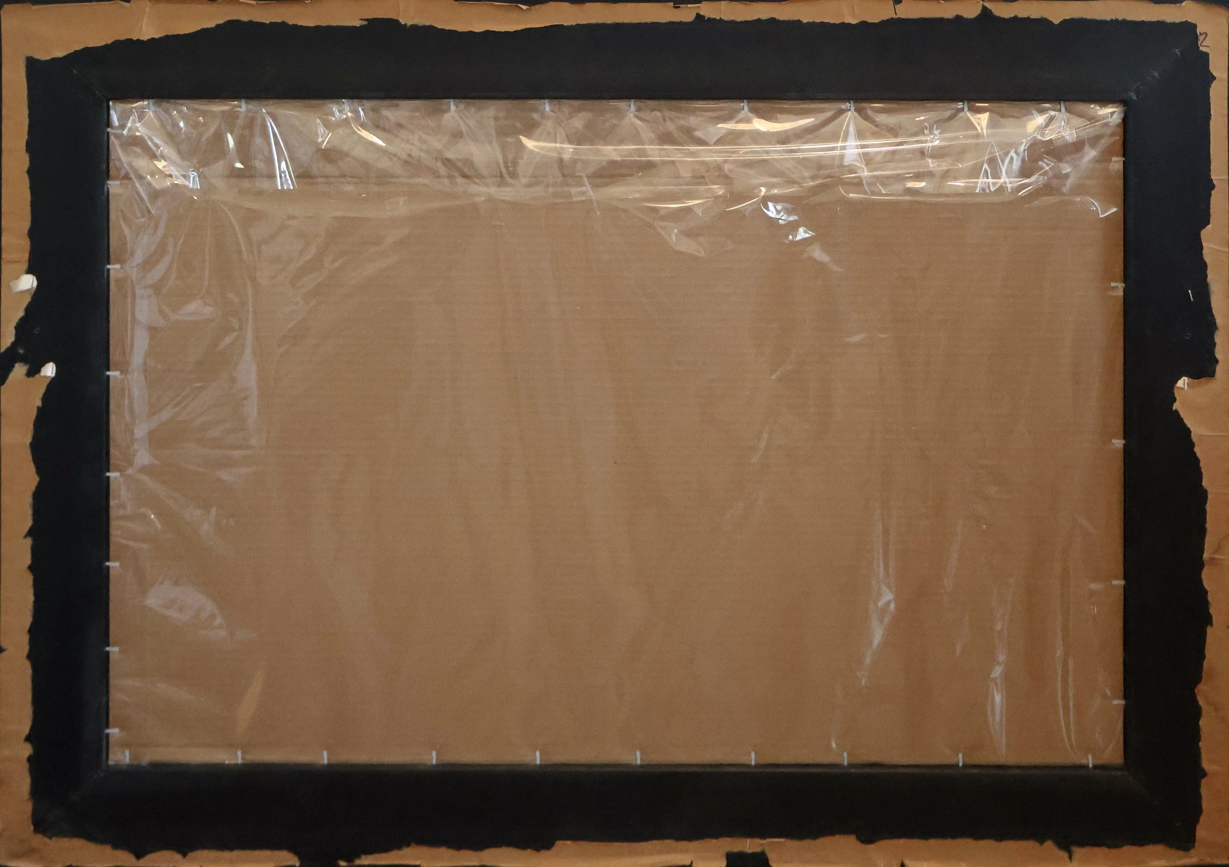 FPa0001 BACK.JPG
