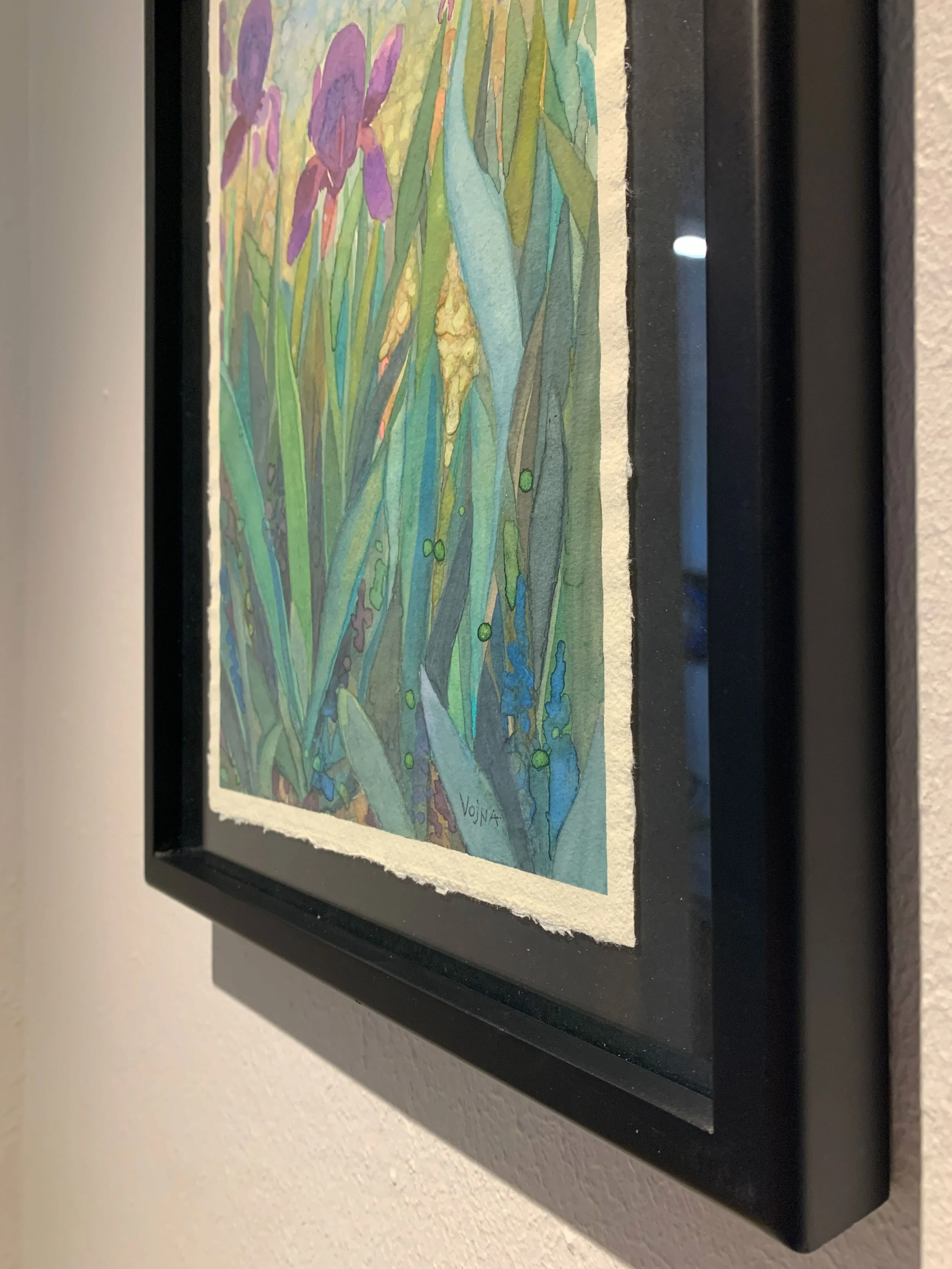 vbc0007-iris-dance (9).jpg