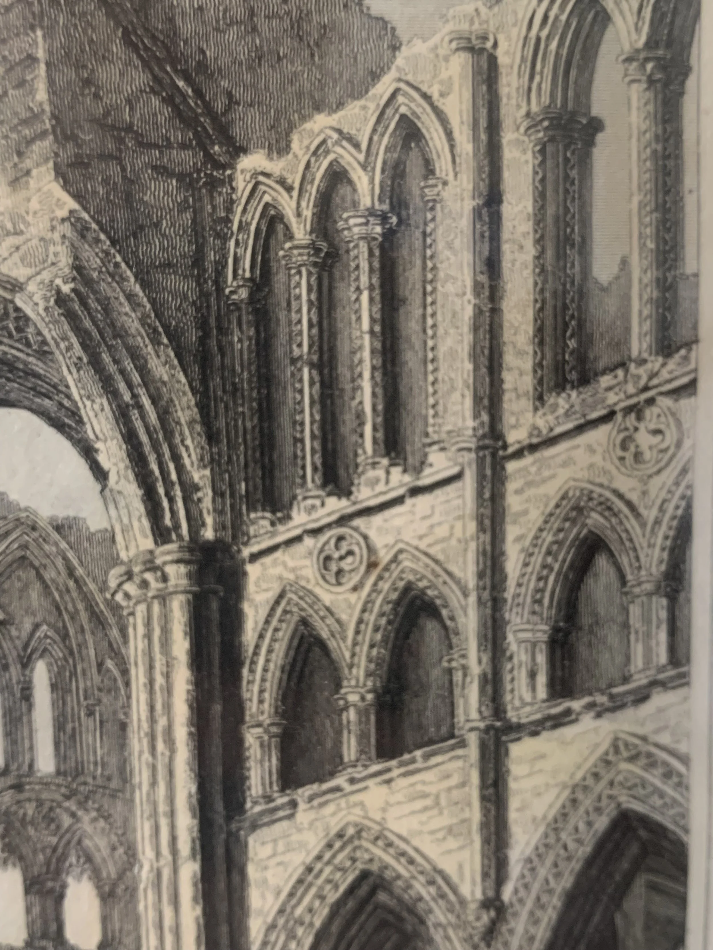 FNW0002 DETAIL 1.jpeg