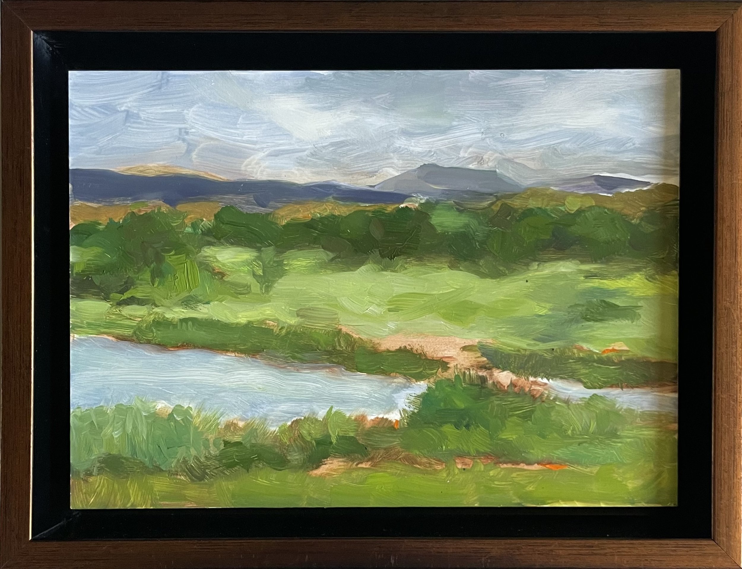 The Northern Edge of Quanah Parker Lake