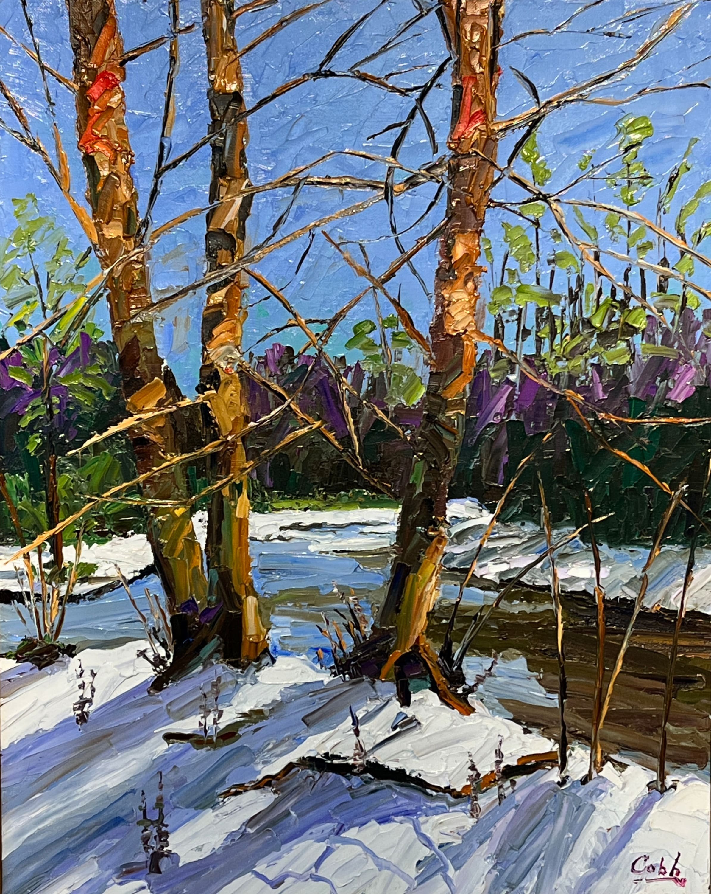 JPC0002_River_Birch_x4hd81.jpeg