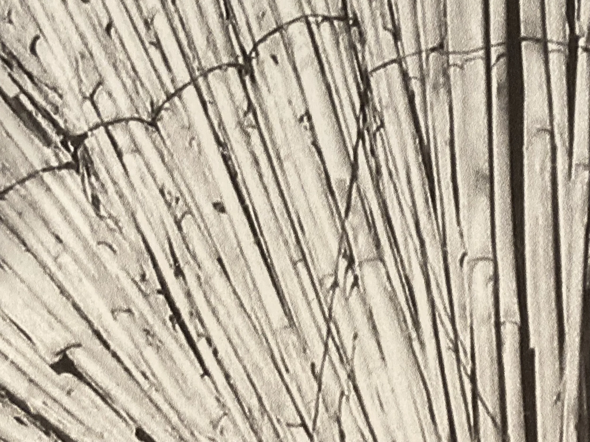 MML0013 DETAIL 3.jpg
