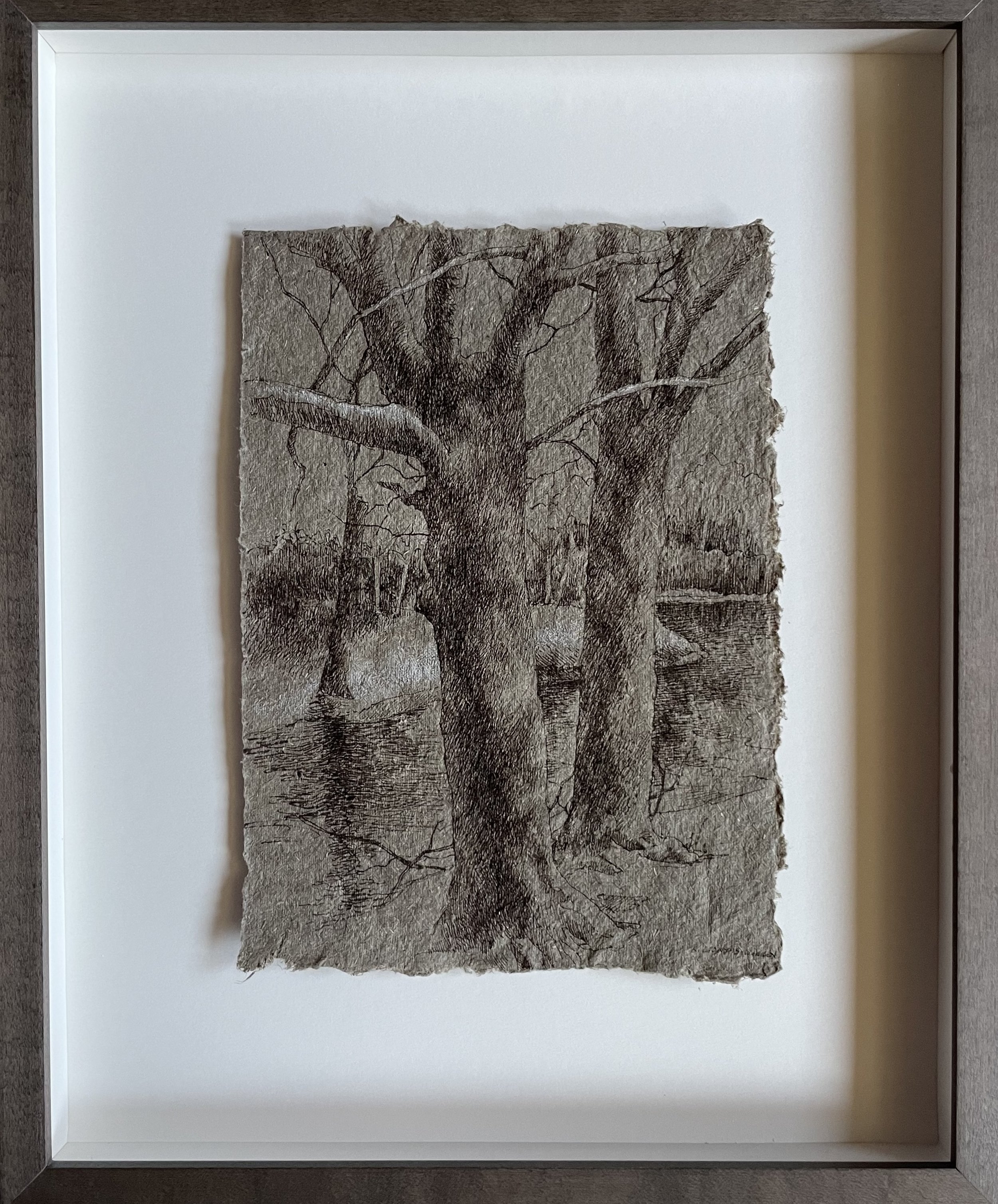 Wepawaug Trails Winter II