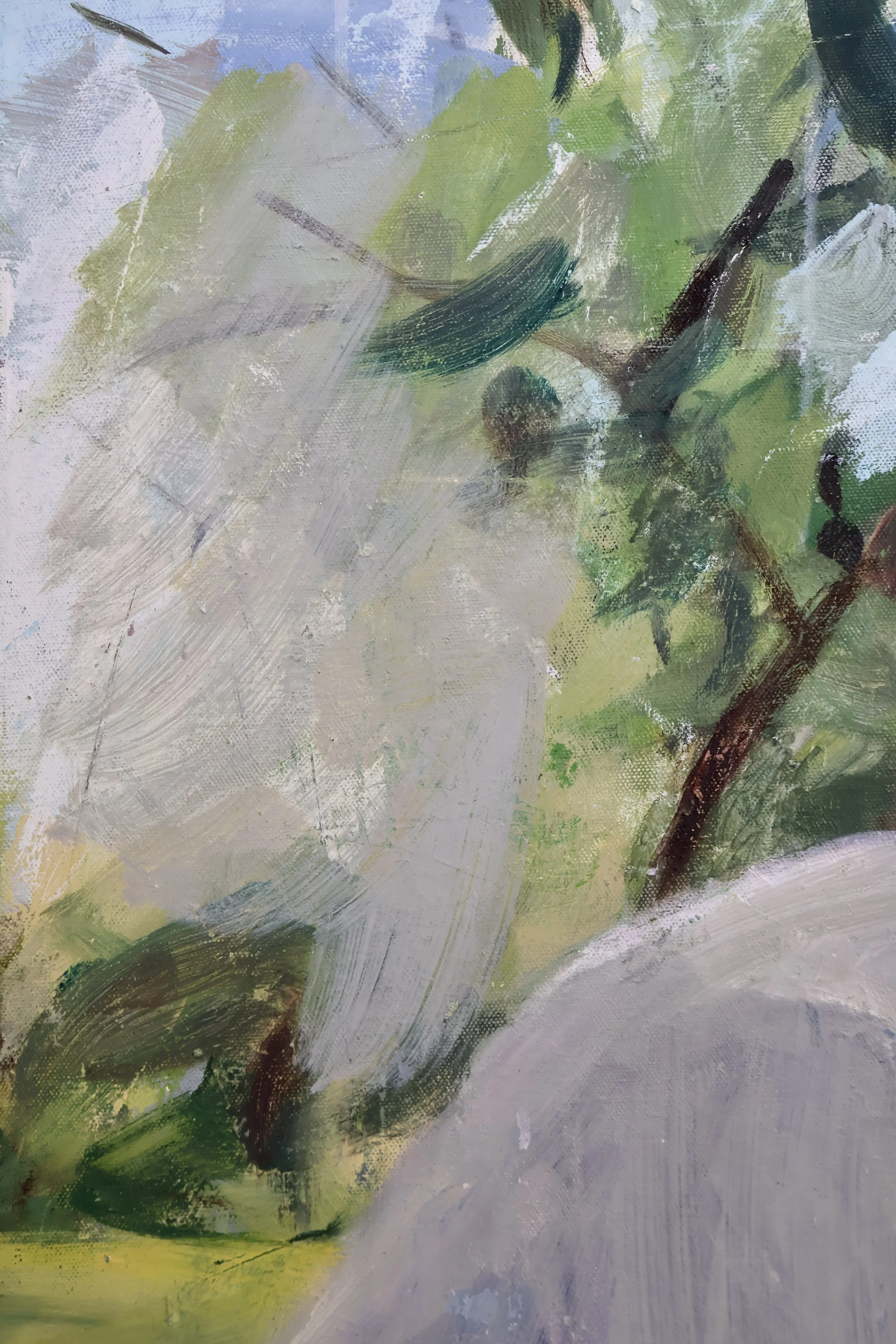 FReB0005 DETAIL 1.JPG