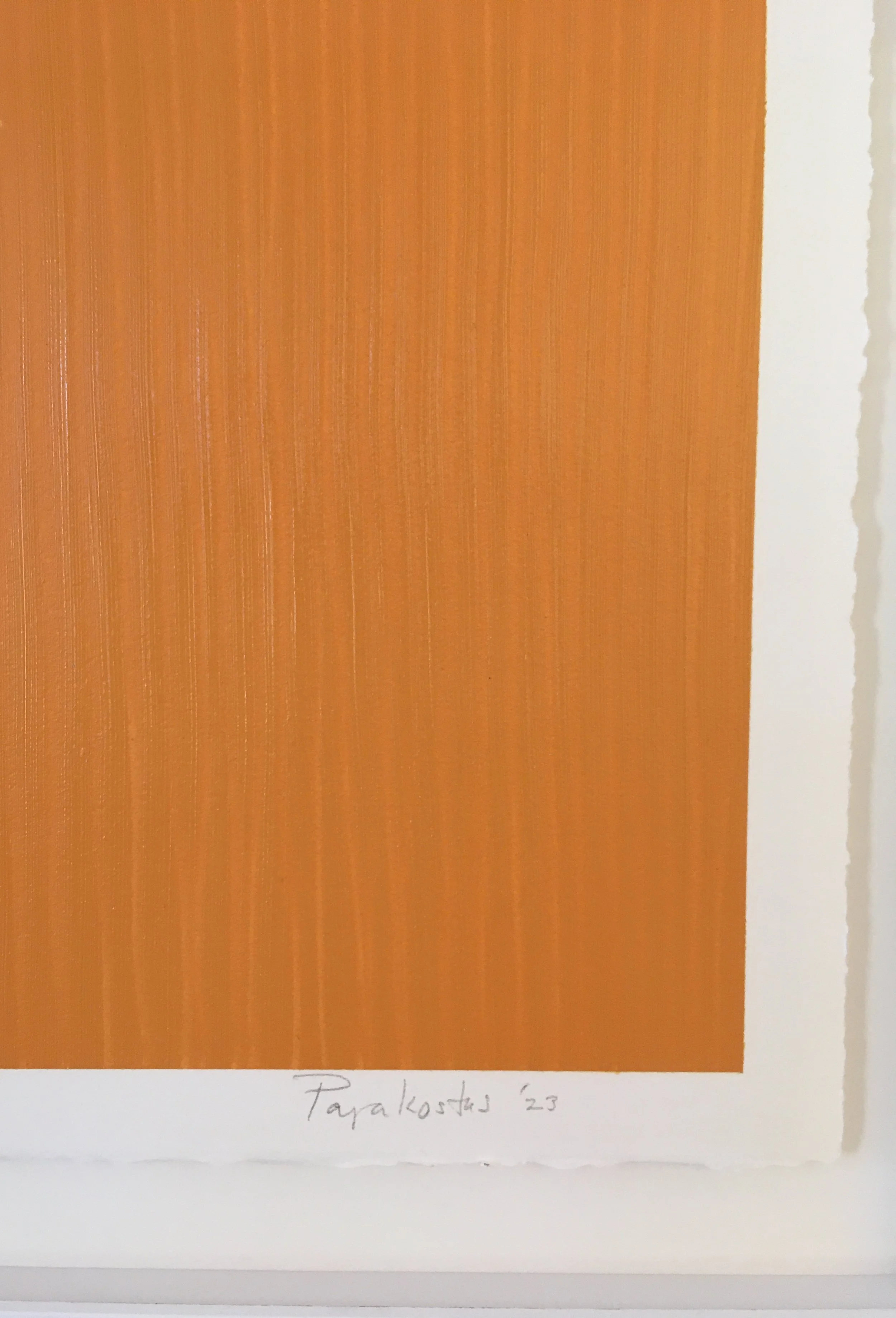 DPP0051 SIGNATURE.jpg