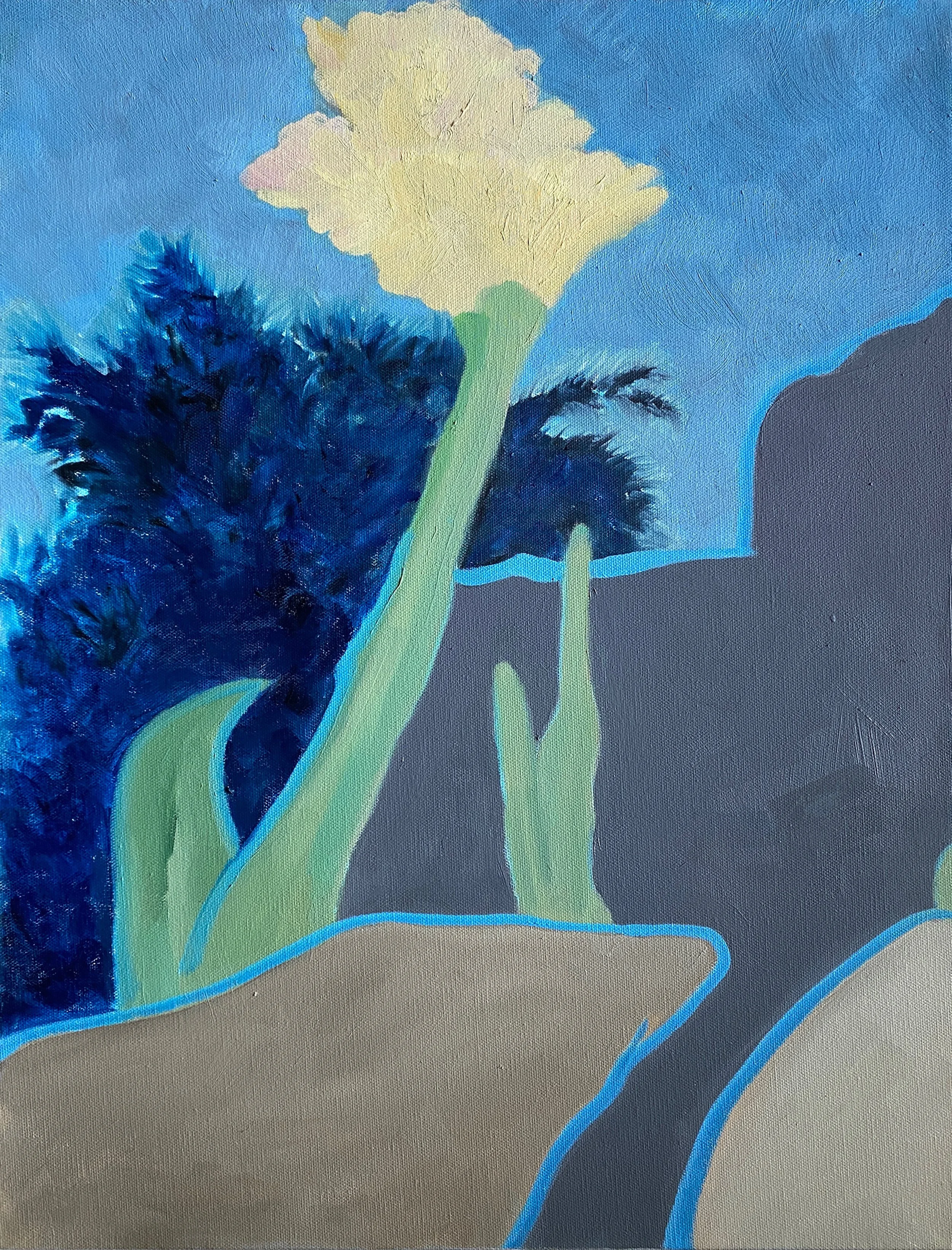 View from the Balcony