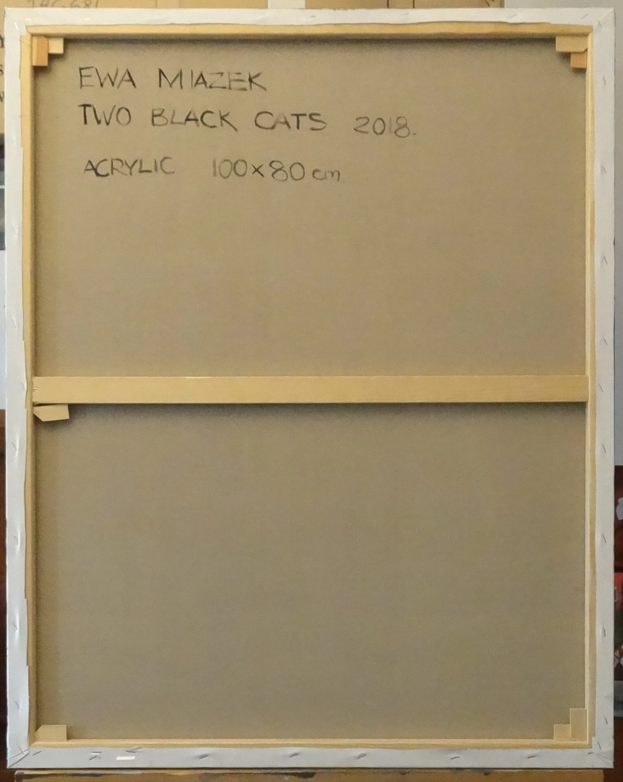 EMM0008 BACK CROPPED.jpg