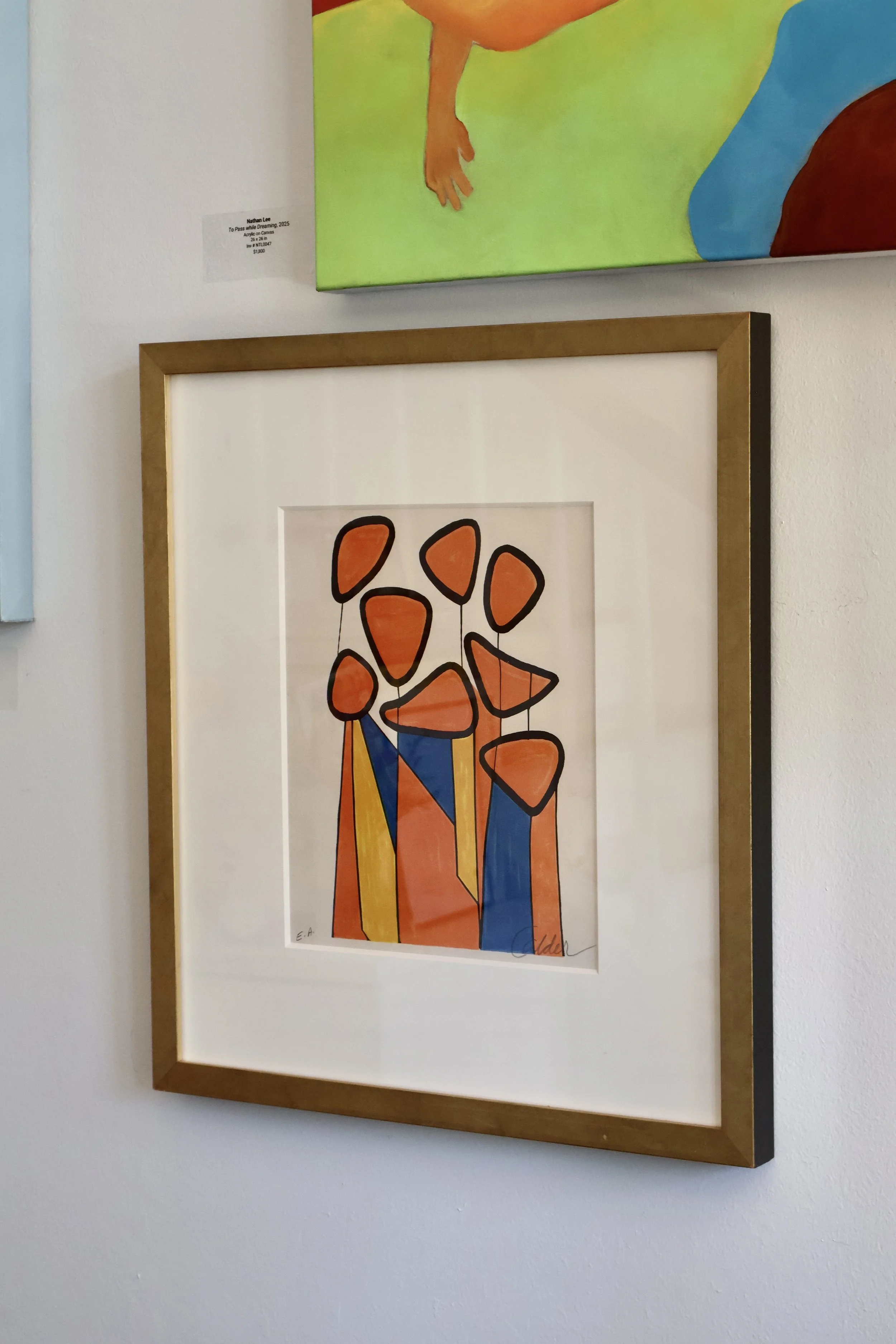 FALC0001 GALLERY.JPG