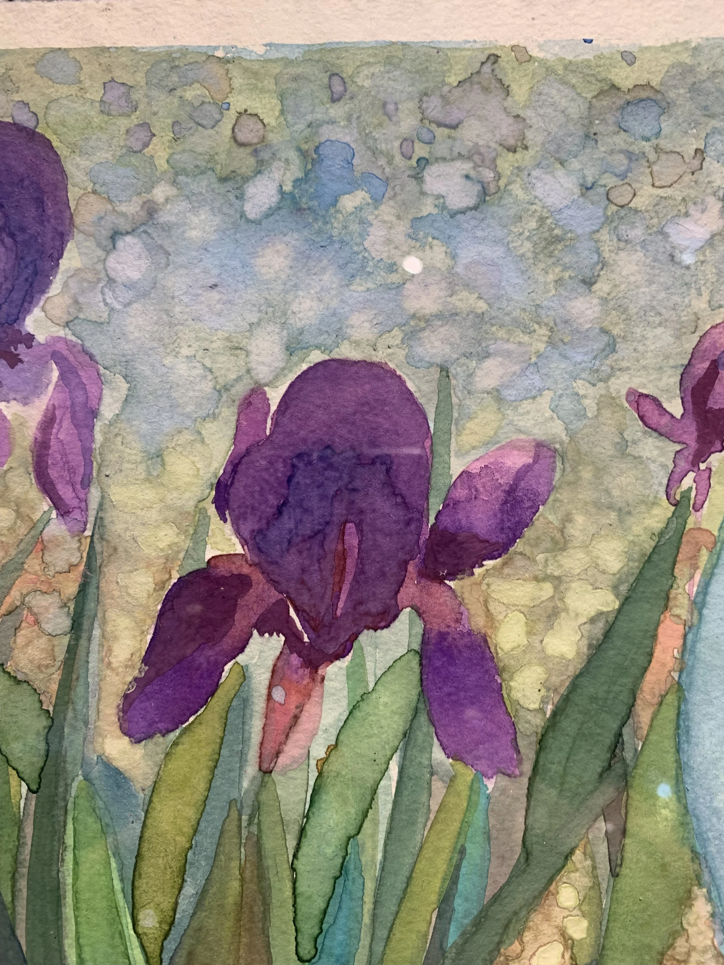 VBC0007 DETAIL 8.jpeg