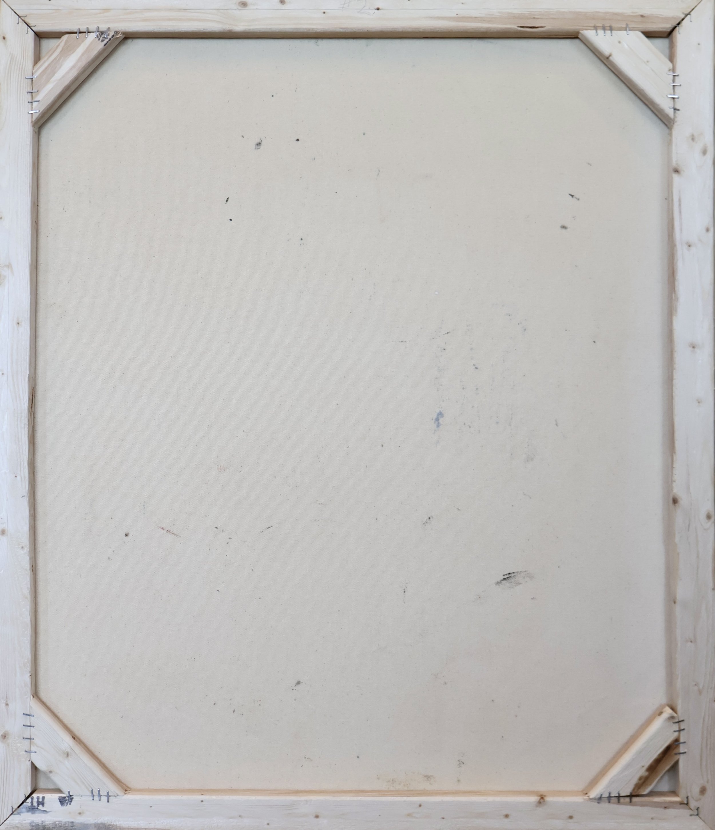 FReB0005 BACK.JPG