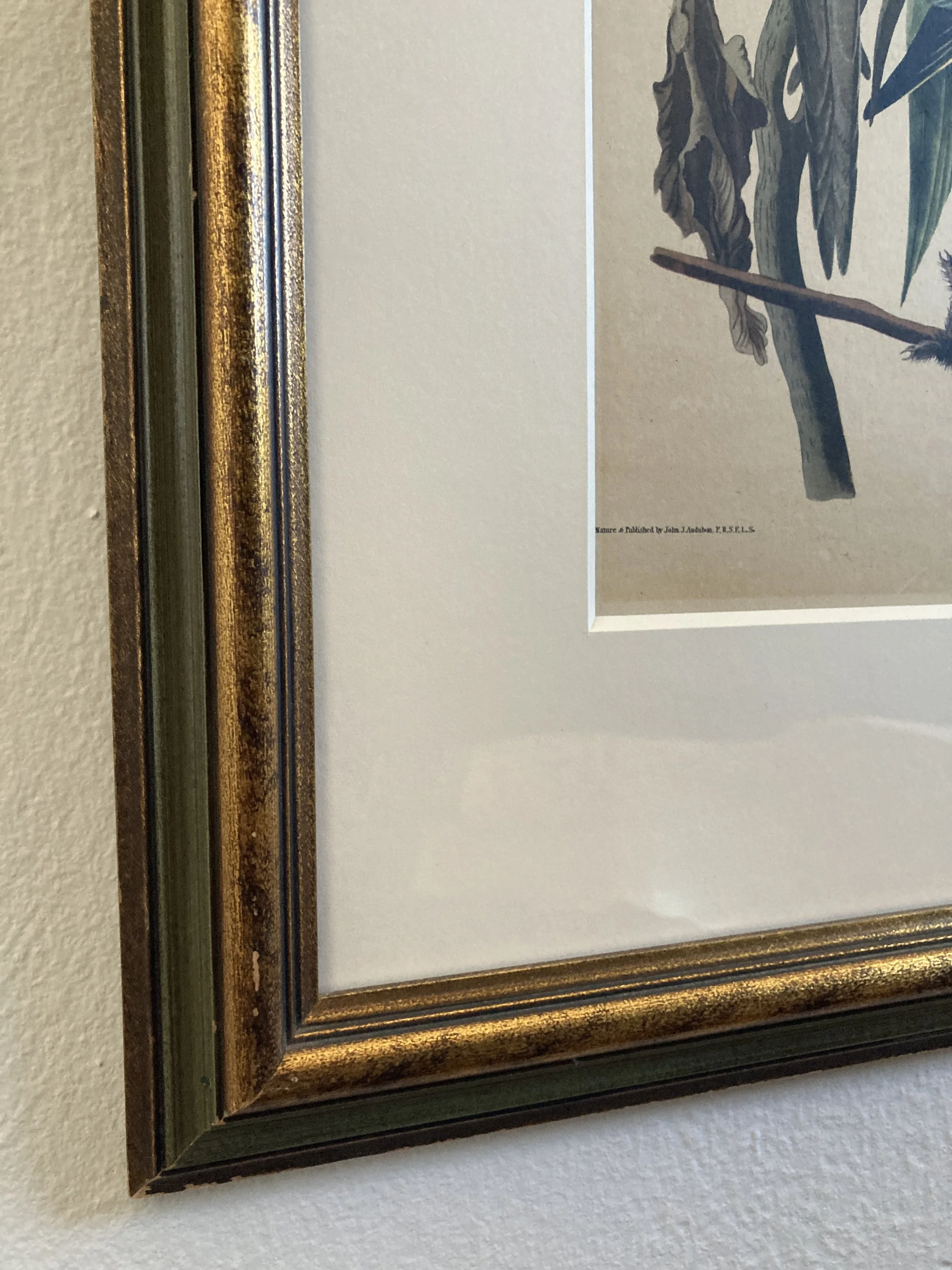 FJA0002 CORNER 1.JPG