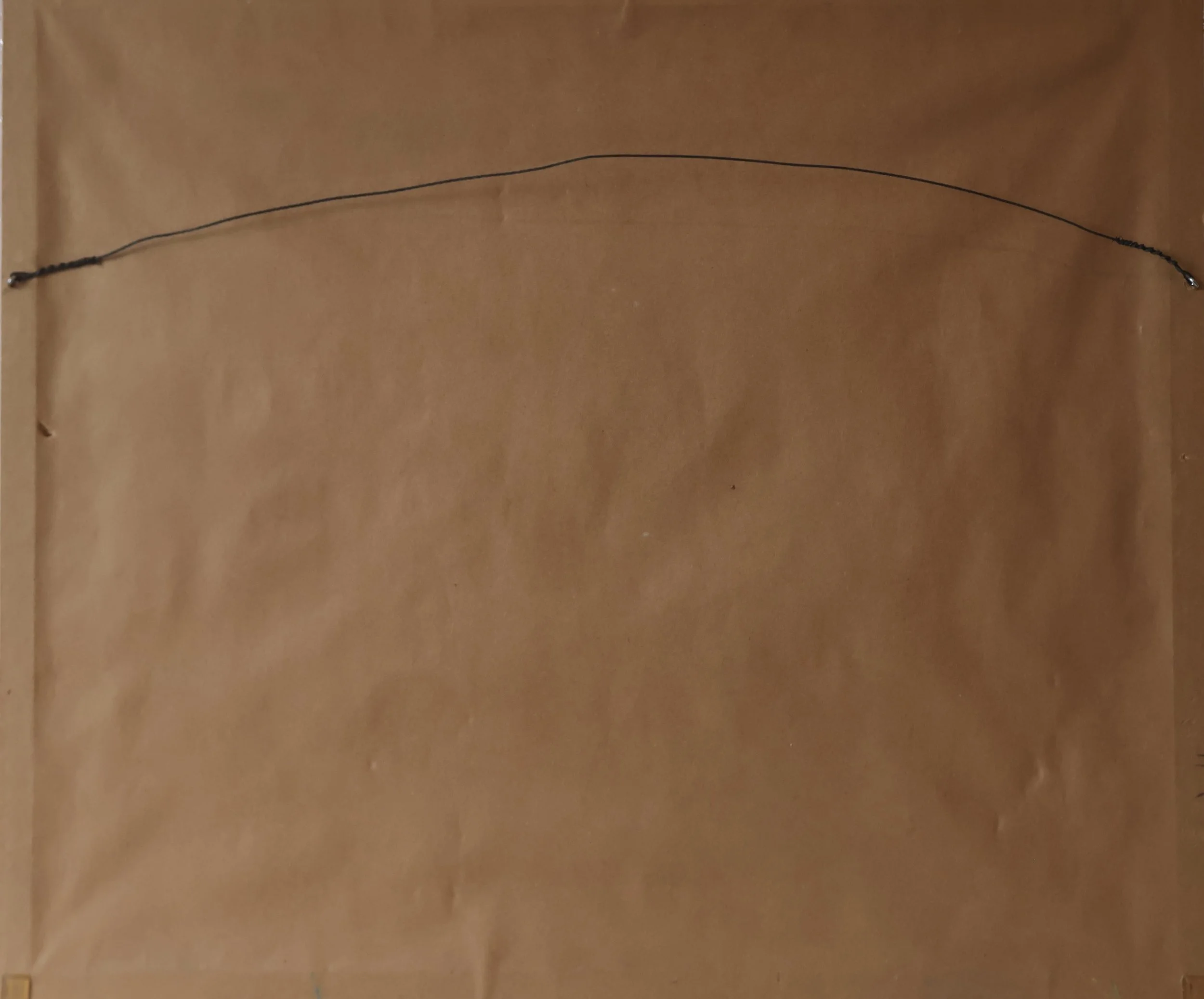 F2D0118 BACK.JPG