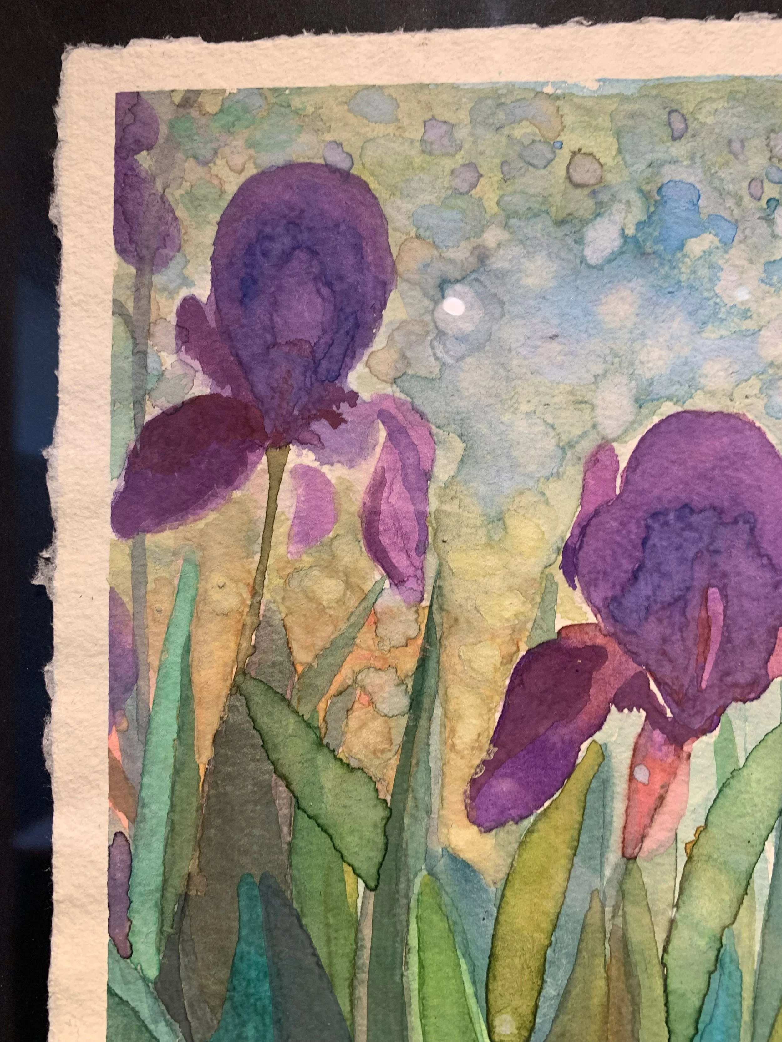 vbc0007-iris-dance (10).jpg