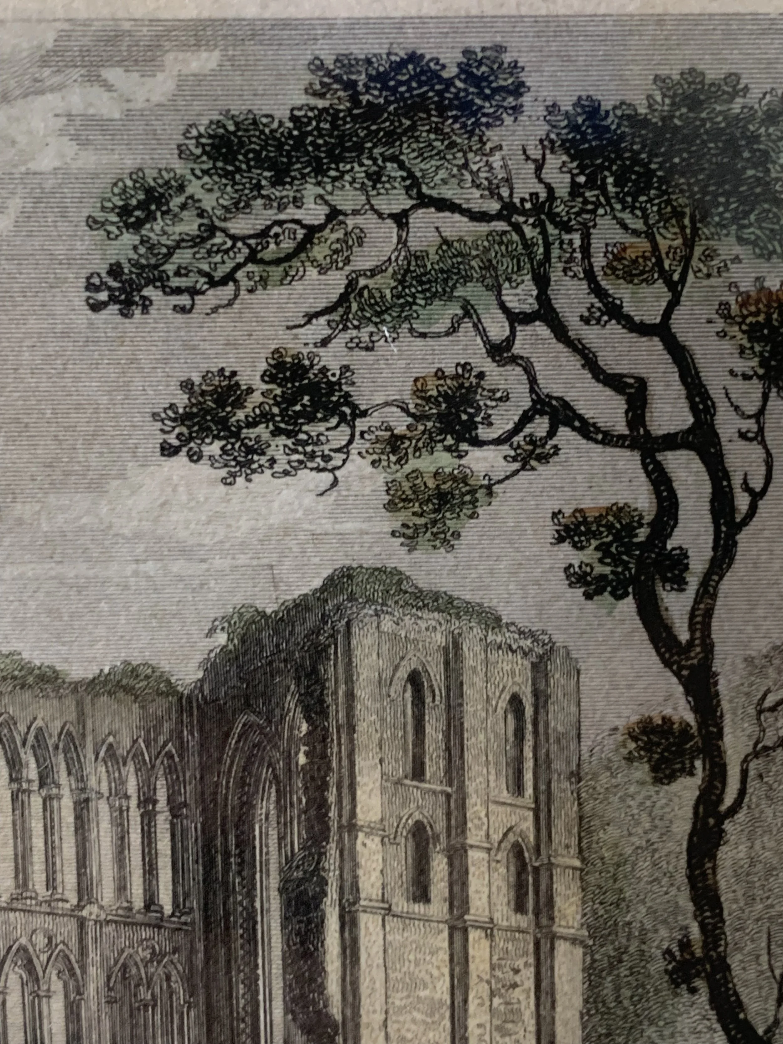 FNW0001 DETAIL 7.jpeg