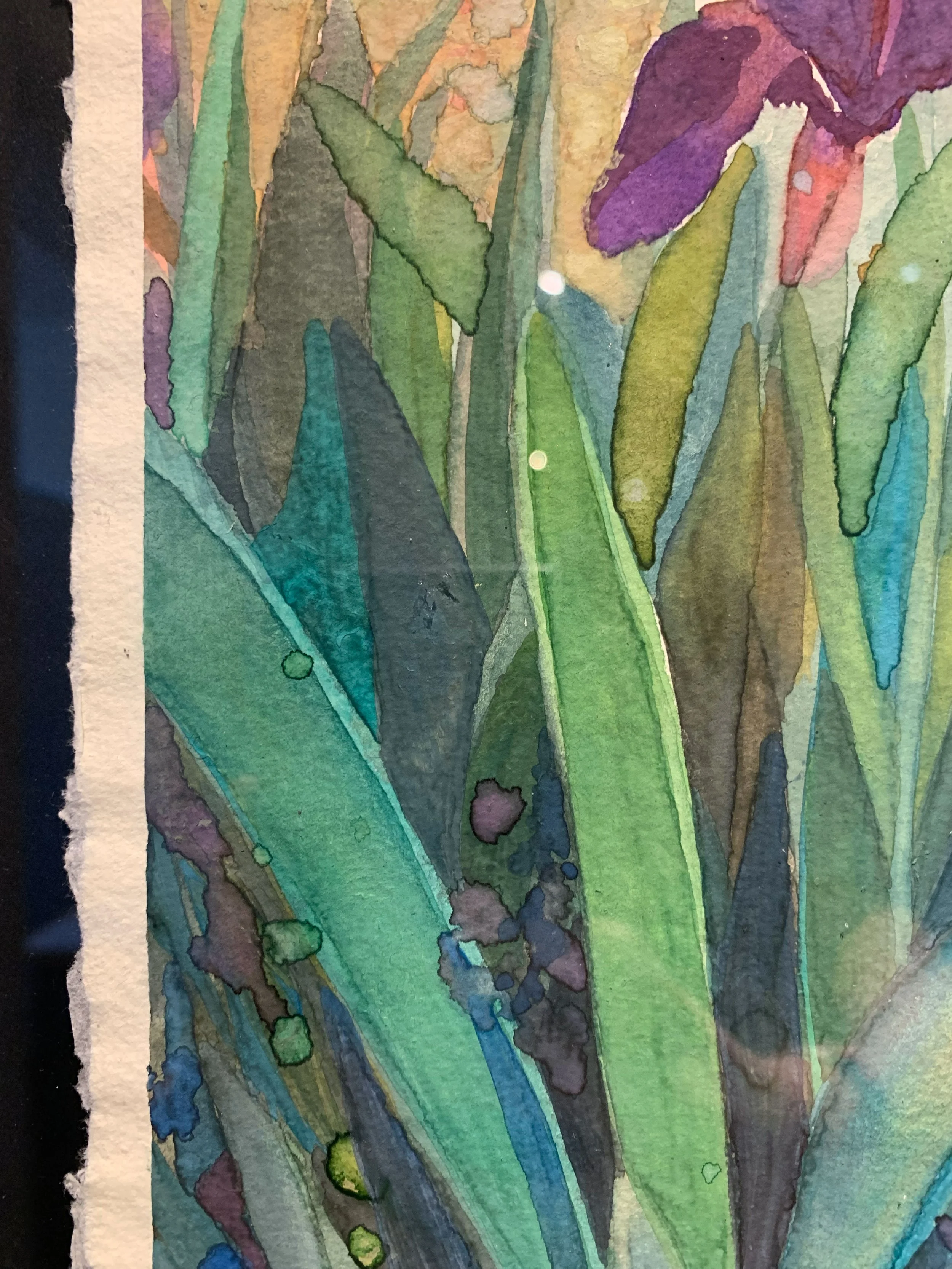 vbc0007-iris-dance (1).jpg