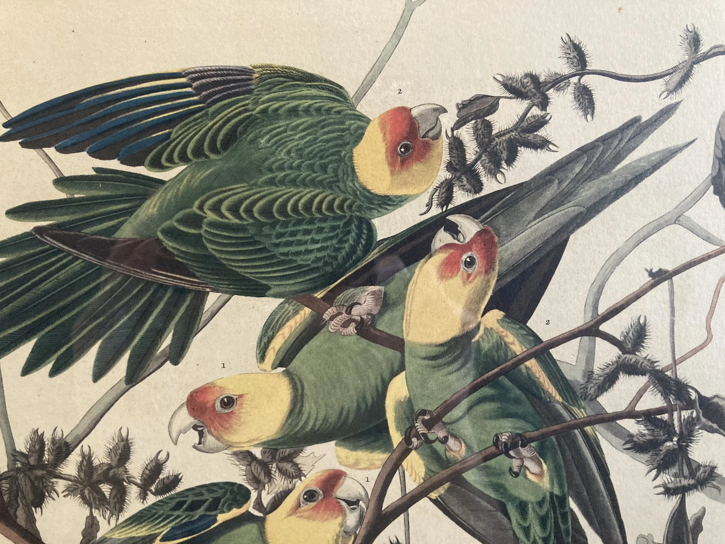 FJA0002 DETAIL 2.JPG