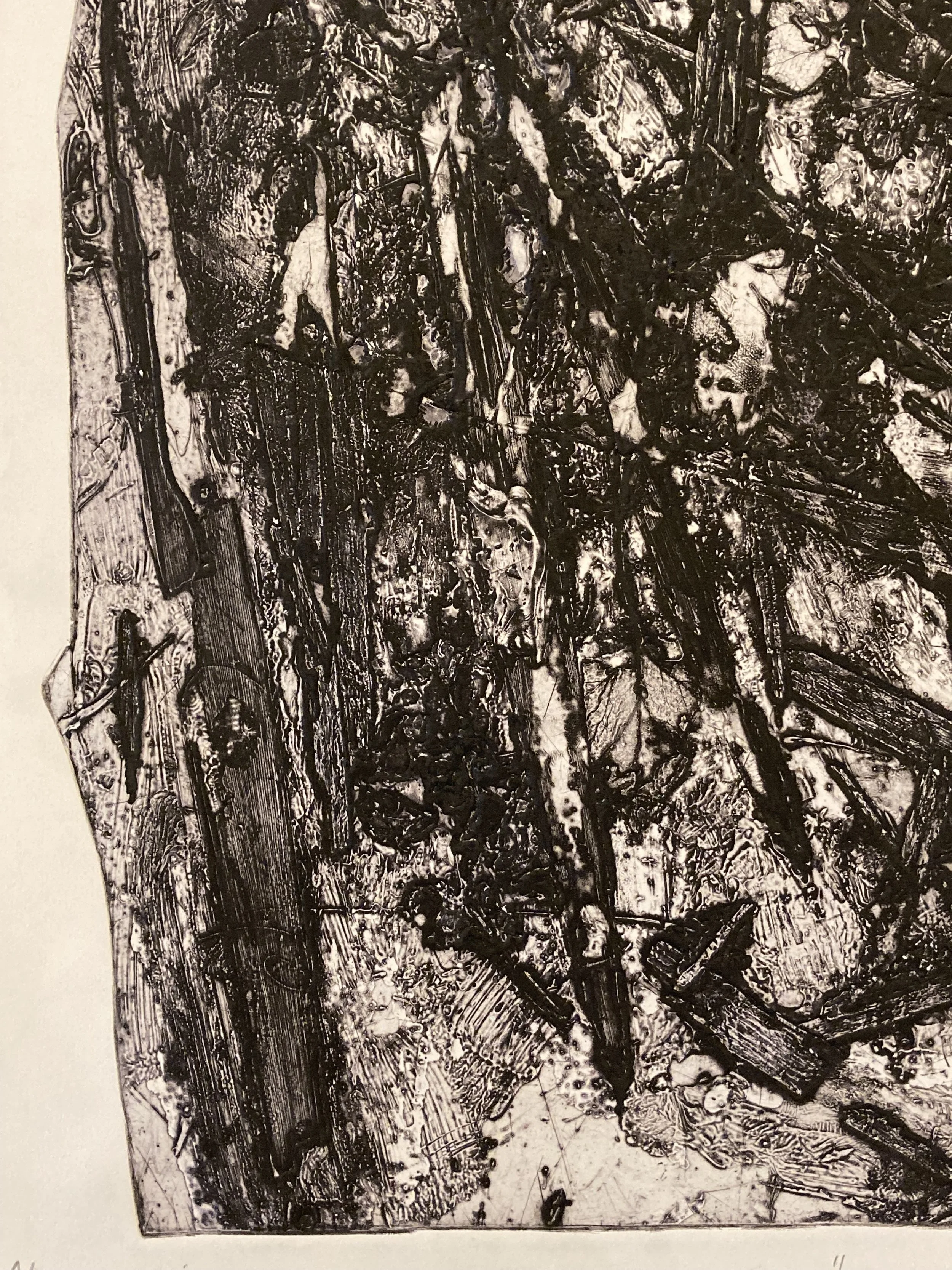 DML0006 DETAIL 4.jpg