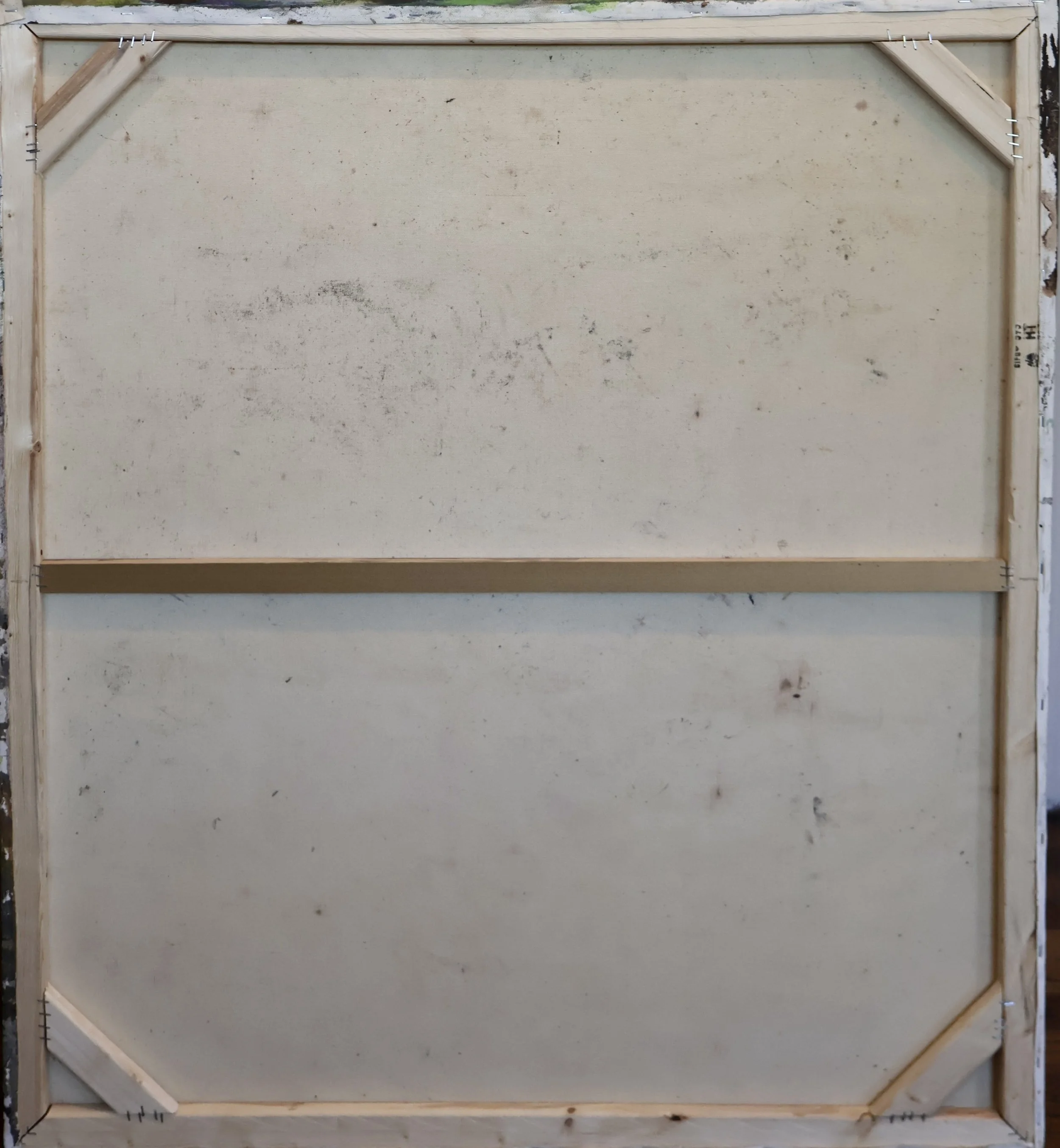 FReB0003 BACK.JPG