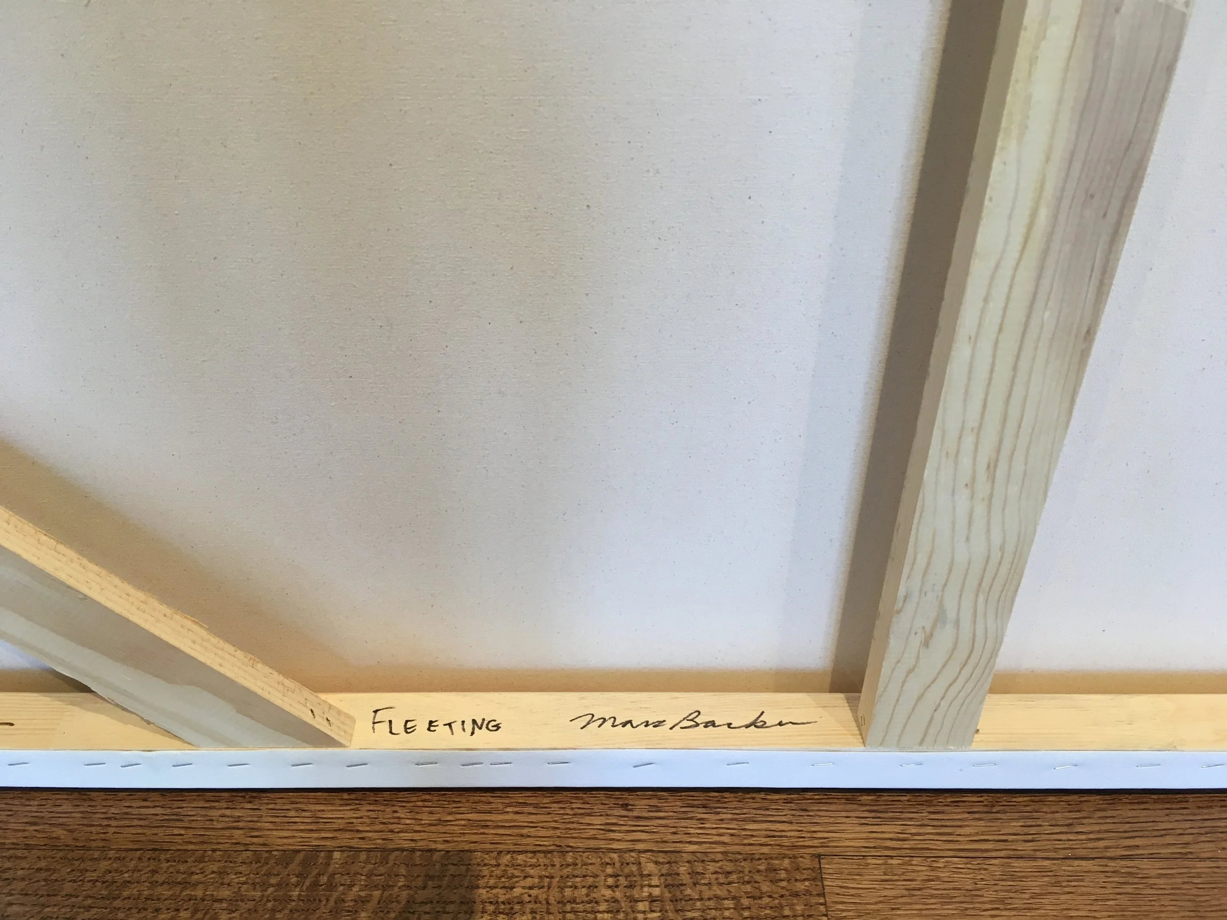 MSB0029 SIGNATURE and TITLE.JPG