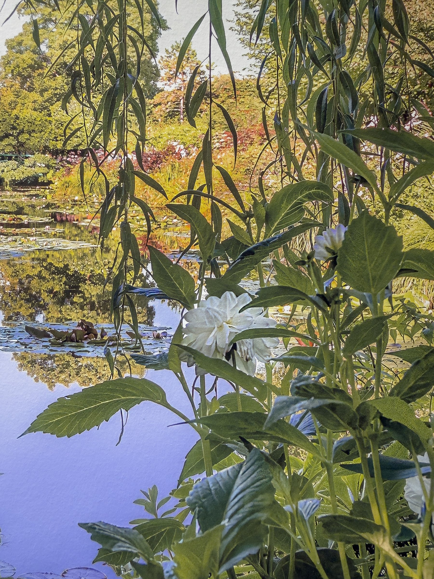 JMB0045 DETAIL 1.jpg