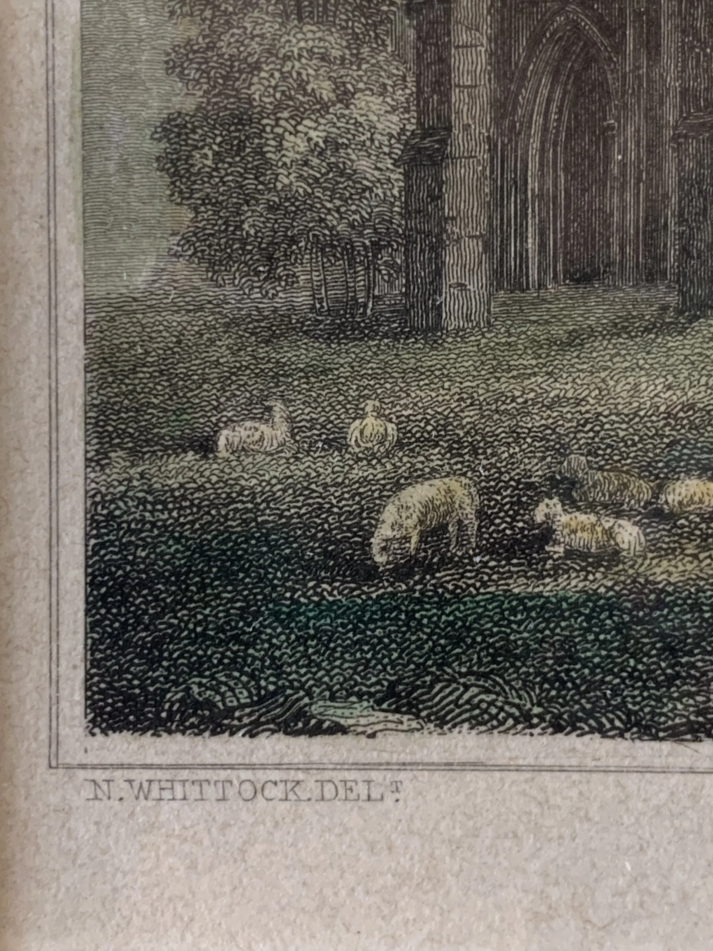 FNW0001 SIGNATURE.jpeg