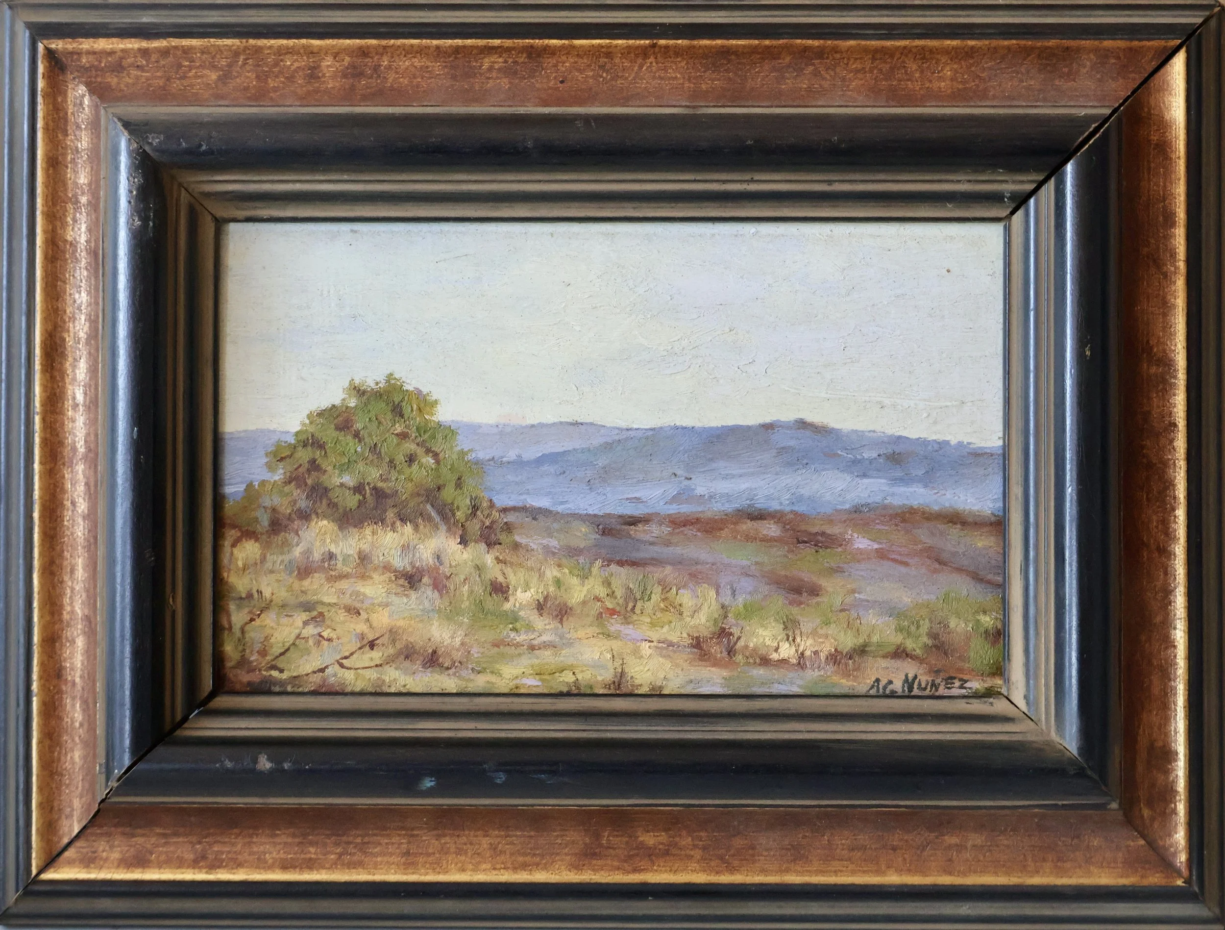 Summer Landscape