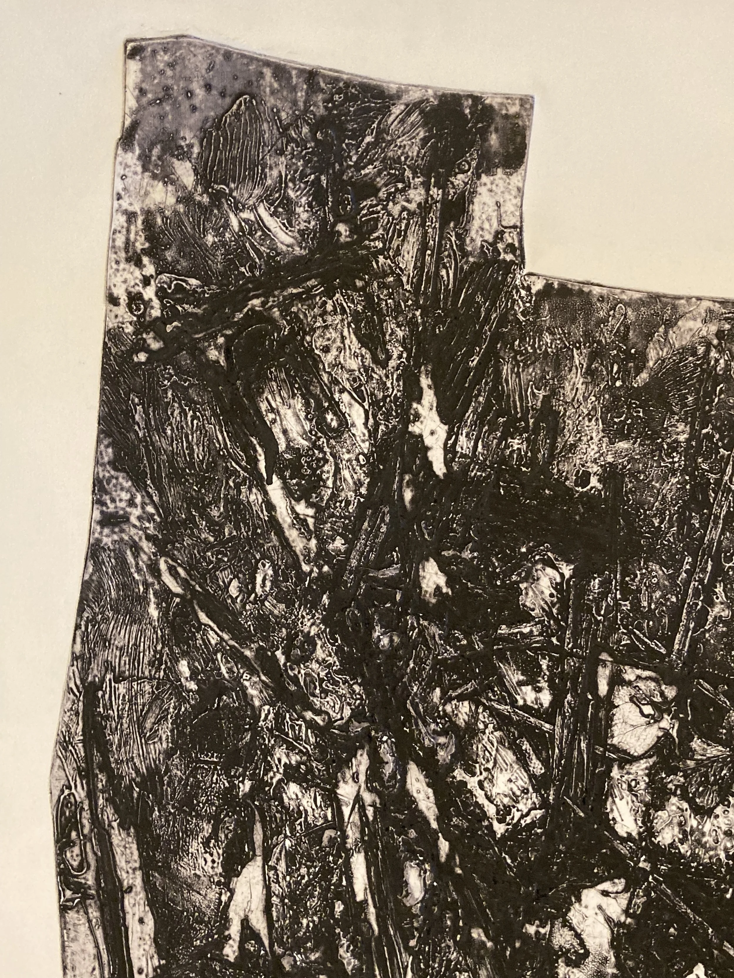 DML0006 DETAIL 7.jpg