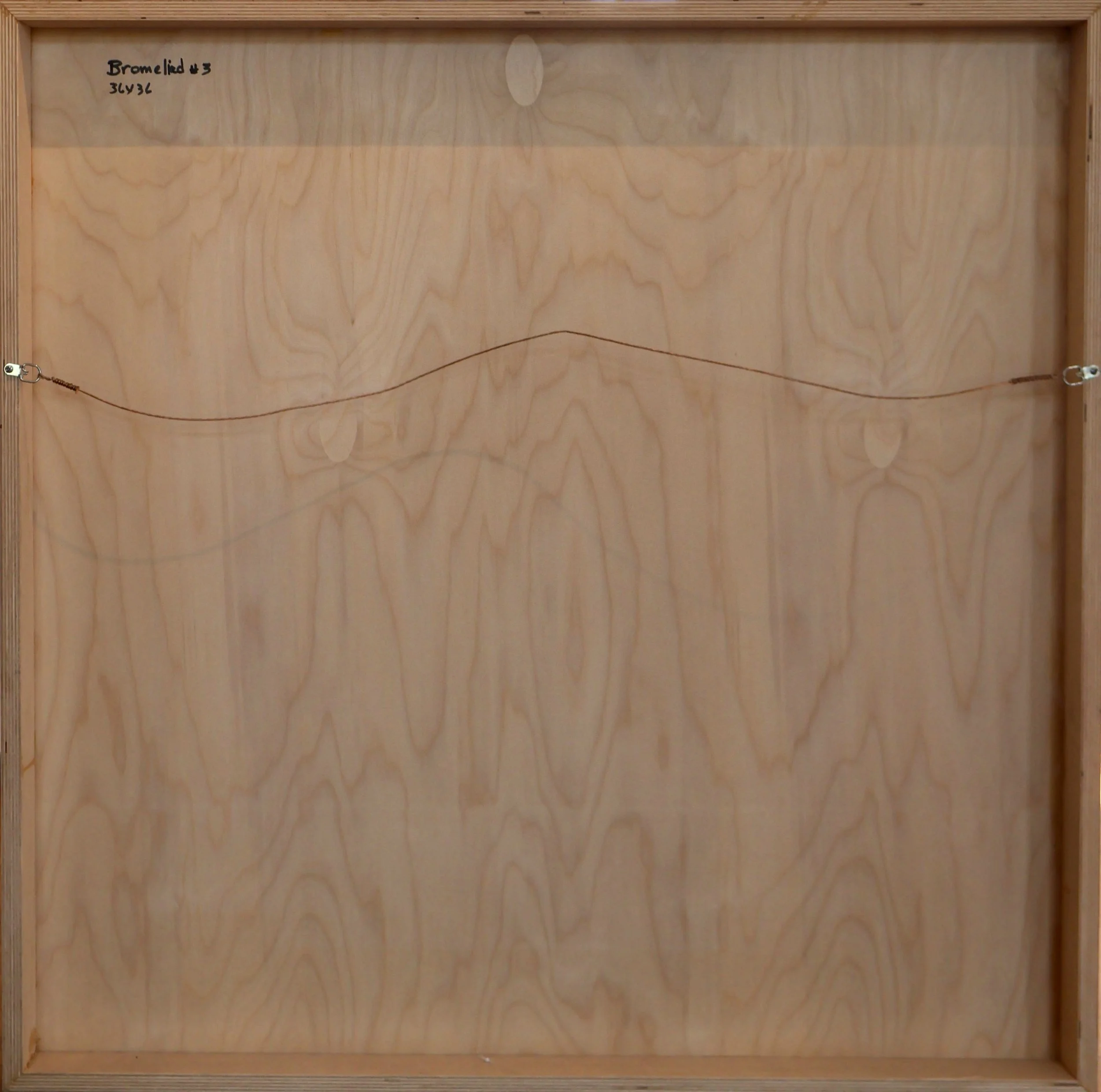 JTW0040 BACK.JPG