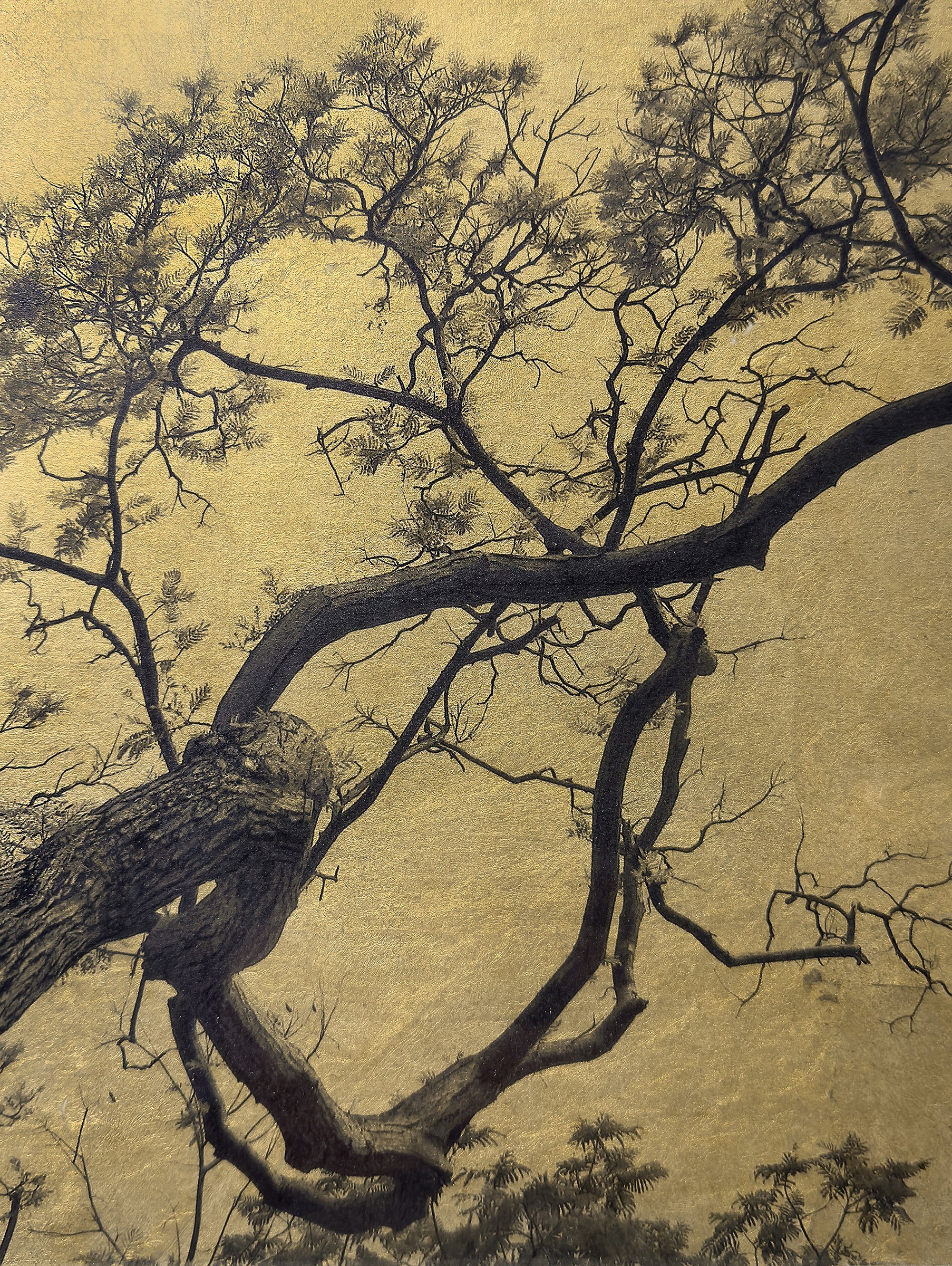 JMB0043 DETAIL 2.jpg