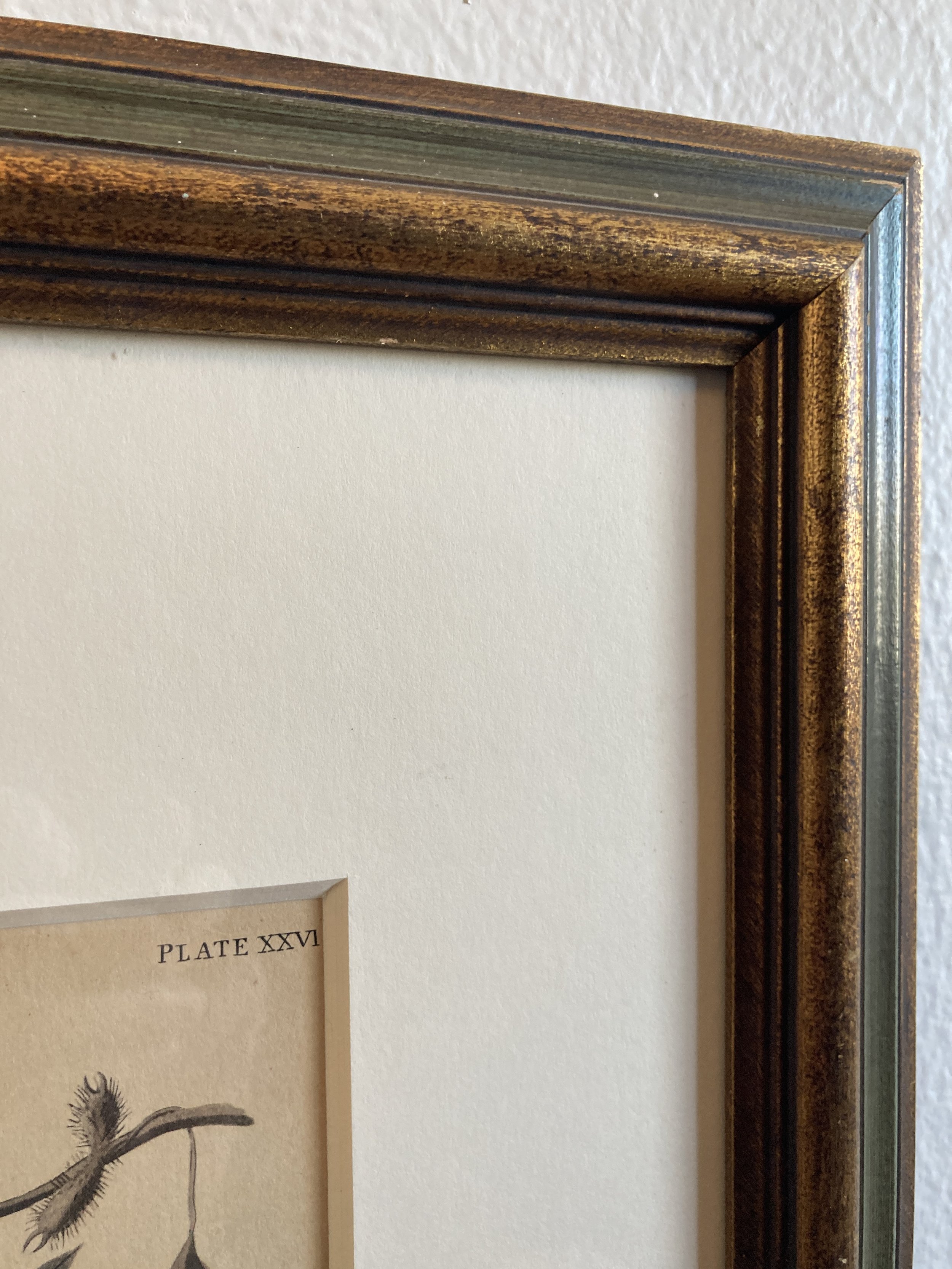 FJA0002 CORNER 3.JPG