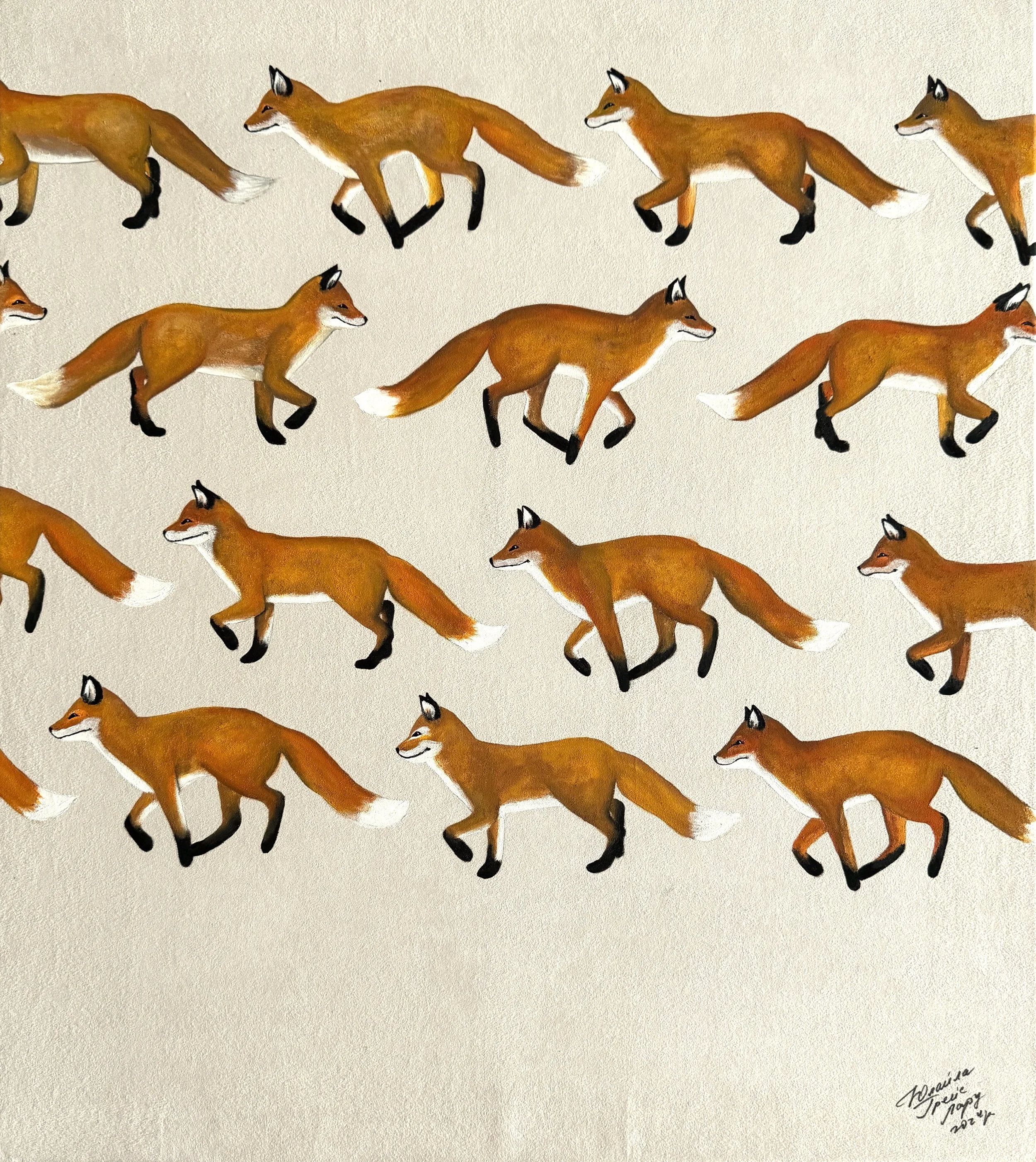 Foxes