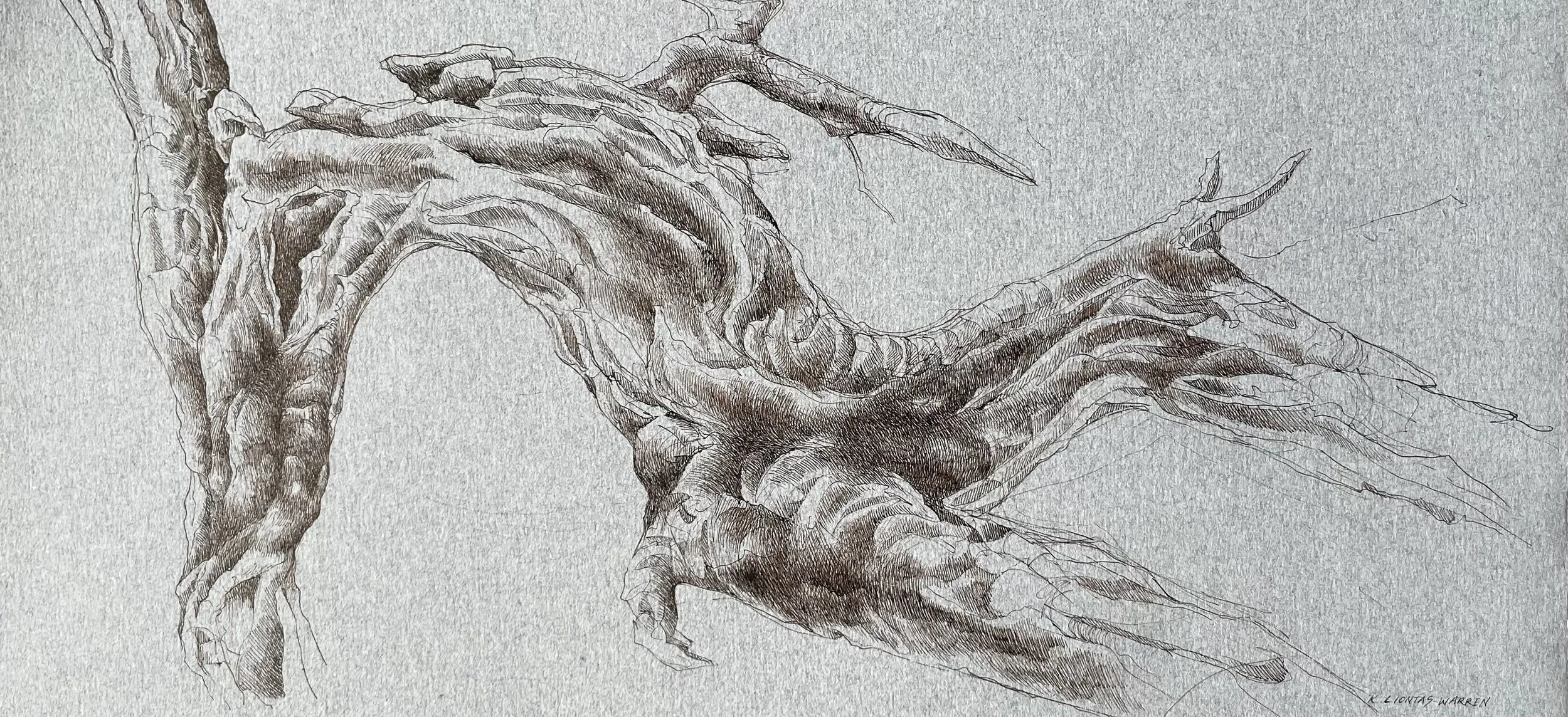 KLW0035 FULL NO FRAME.jpg