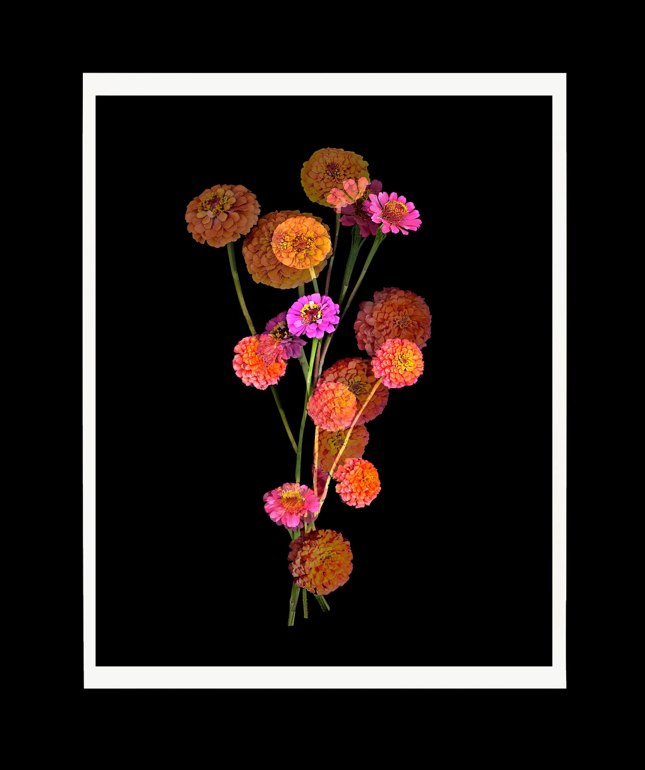 Organic-Abstraction-#15,-2023,--Edition-1_20-WEB.jpg