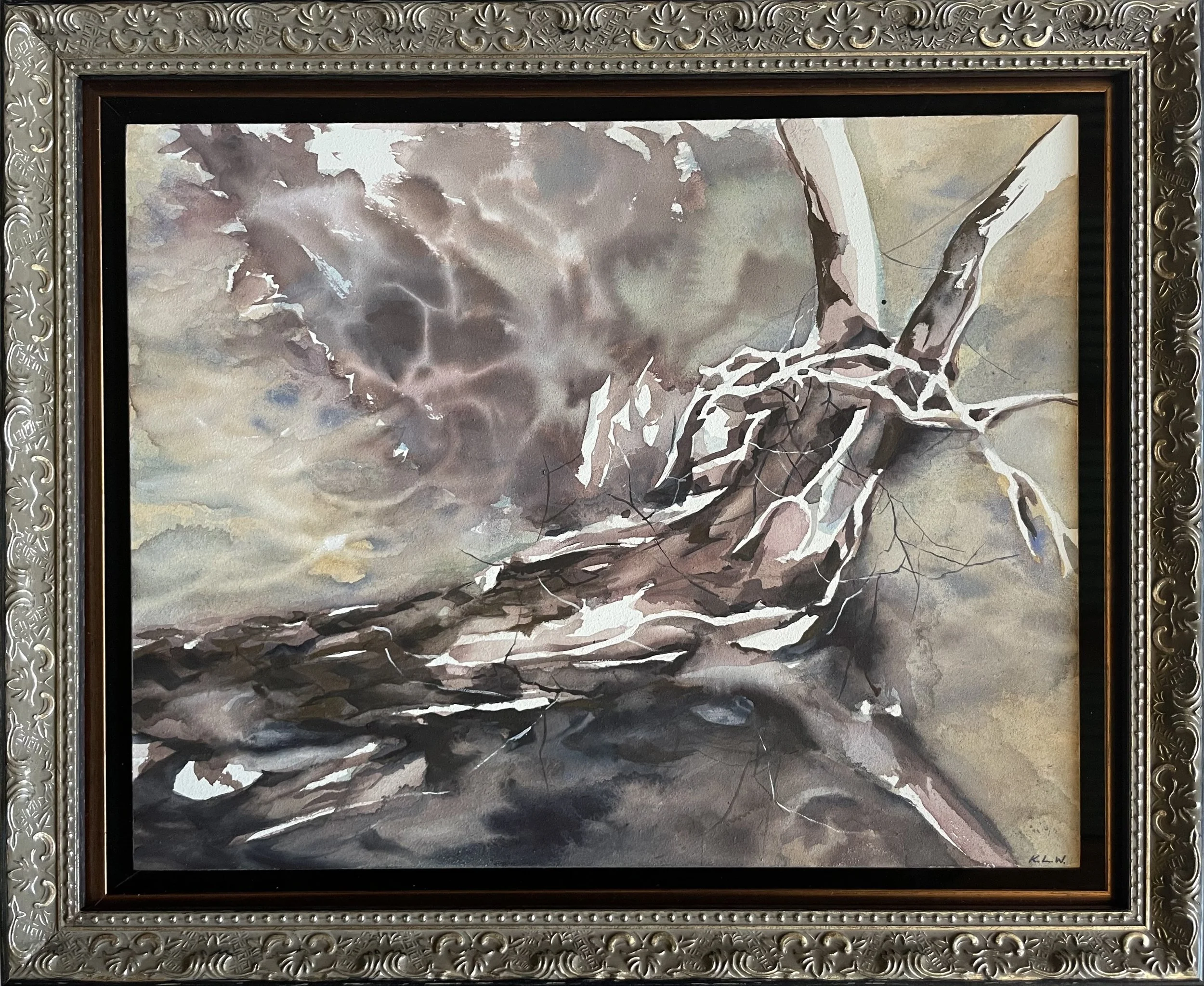 The Fallen Tree by the Creek