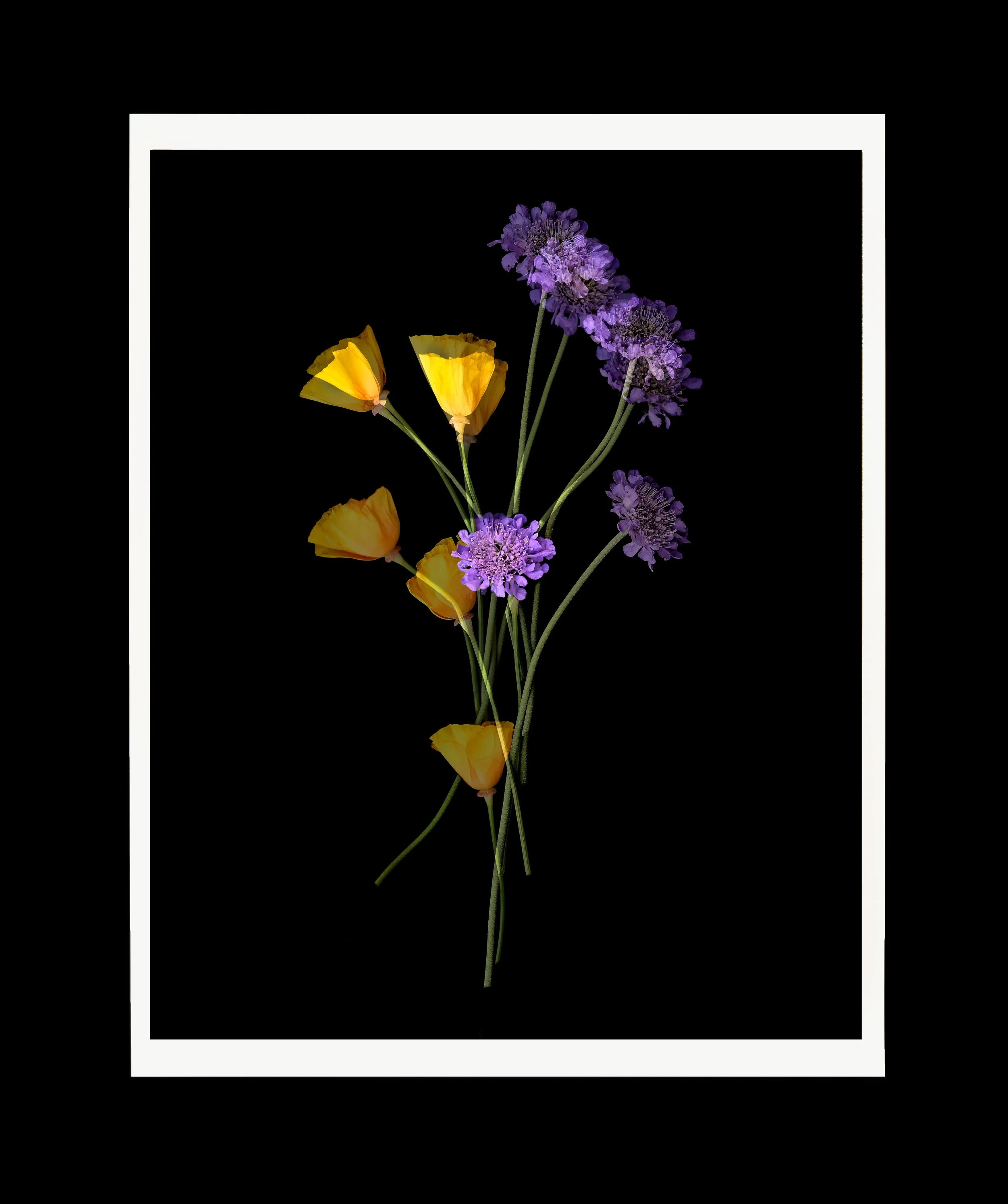 Organic-Abstraction-#16,-2023,--Edition-1_20-WEB.jpg