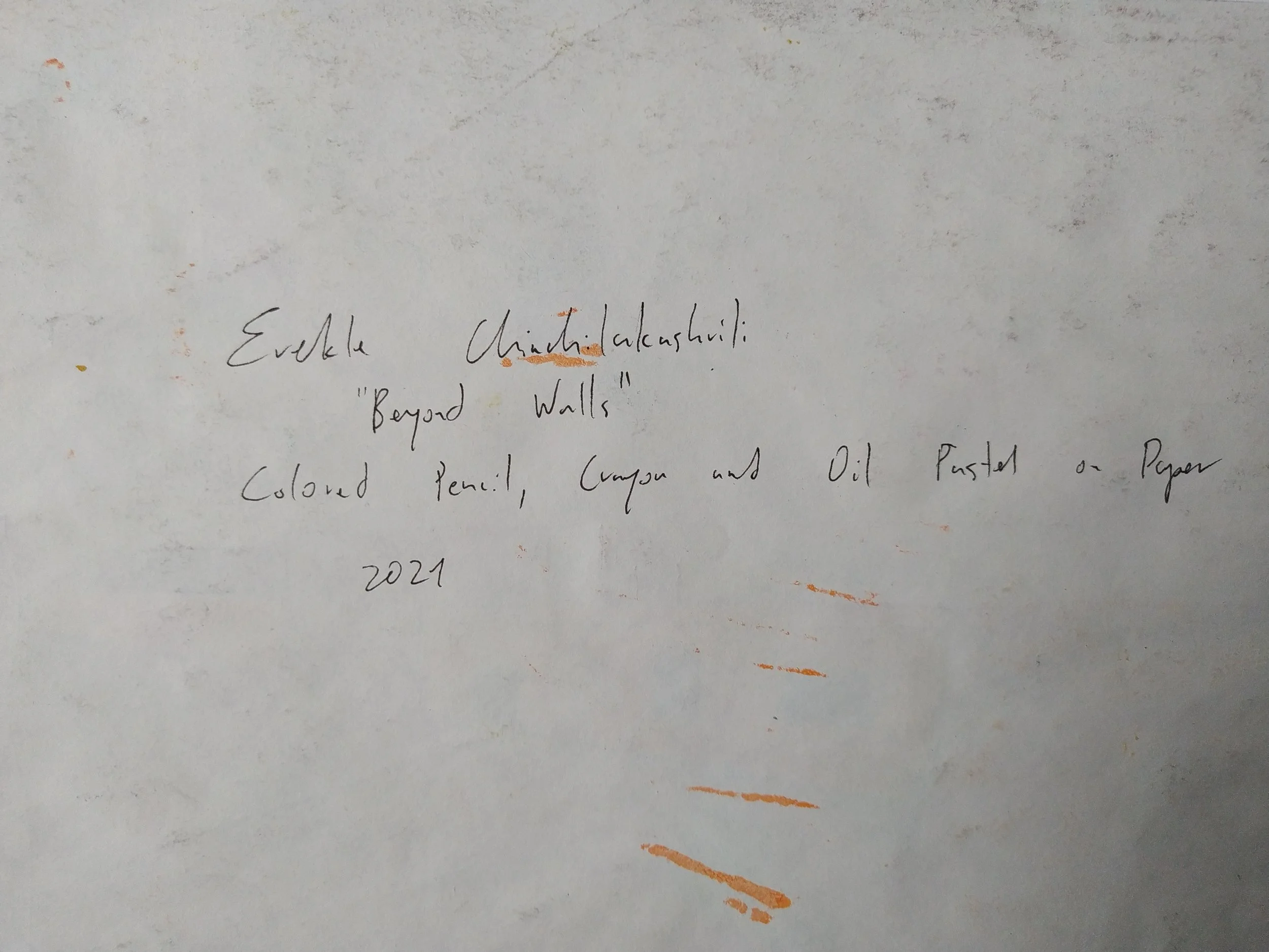 FEC0004 BACK INFO.jpg