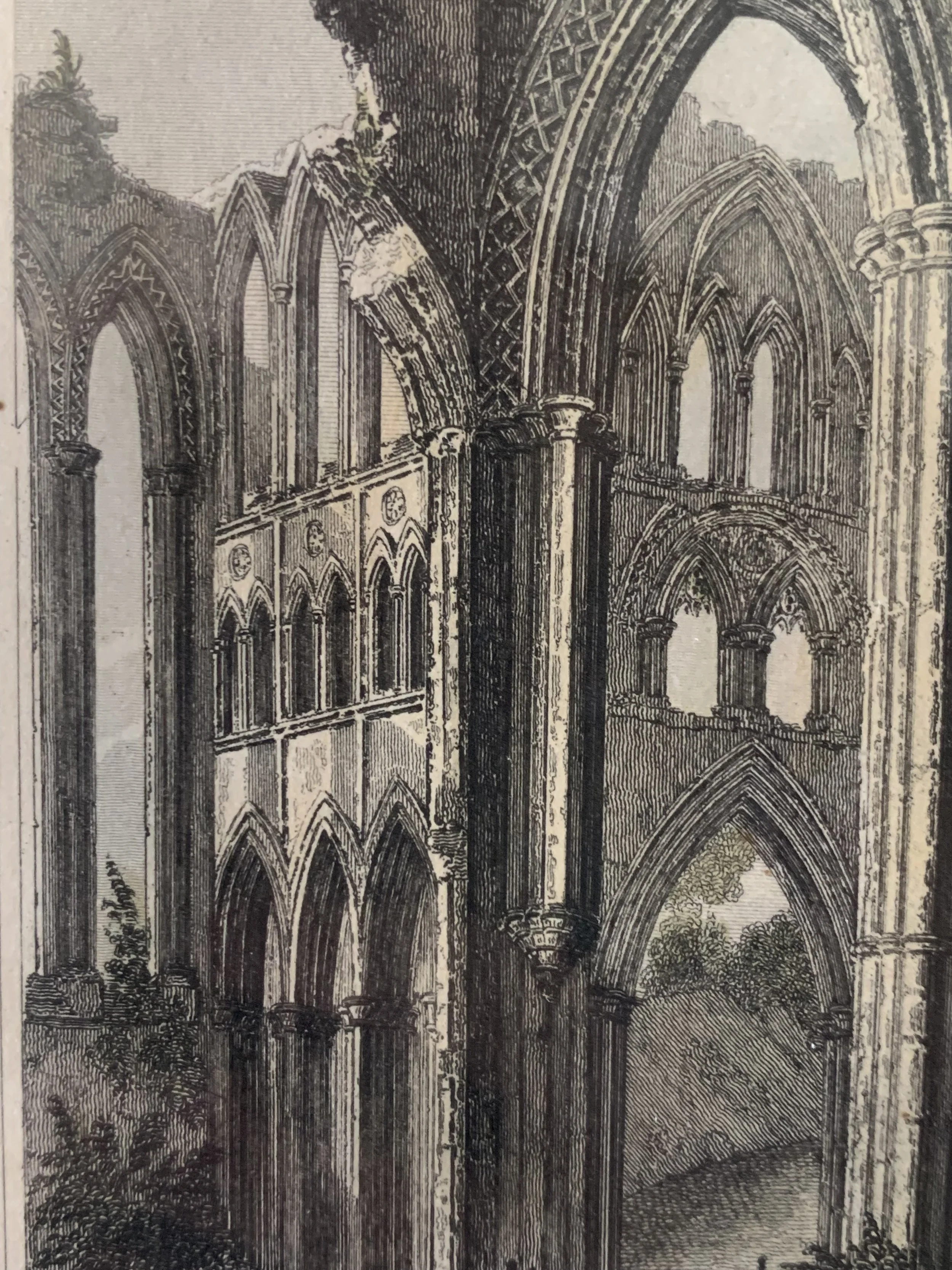 FNW0002 DETAIL 2.jpeg