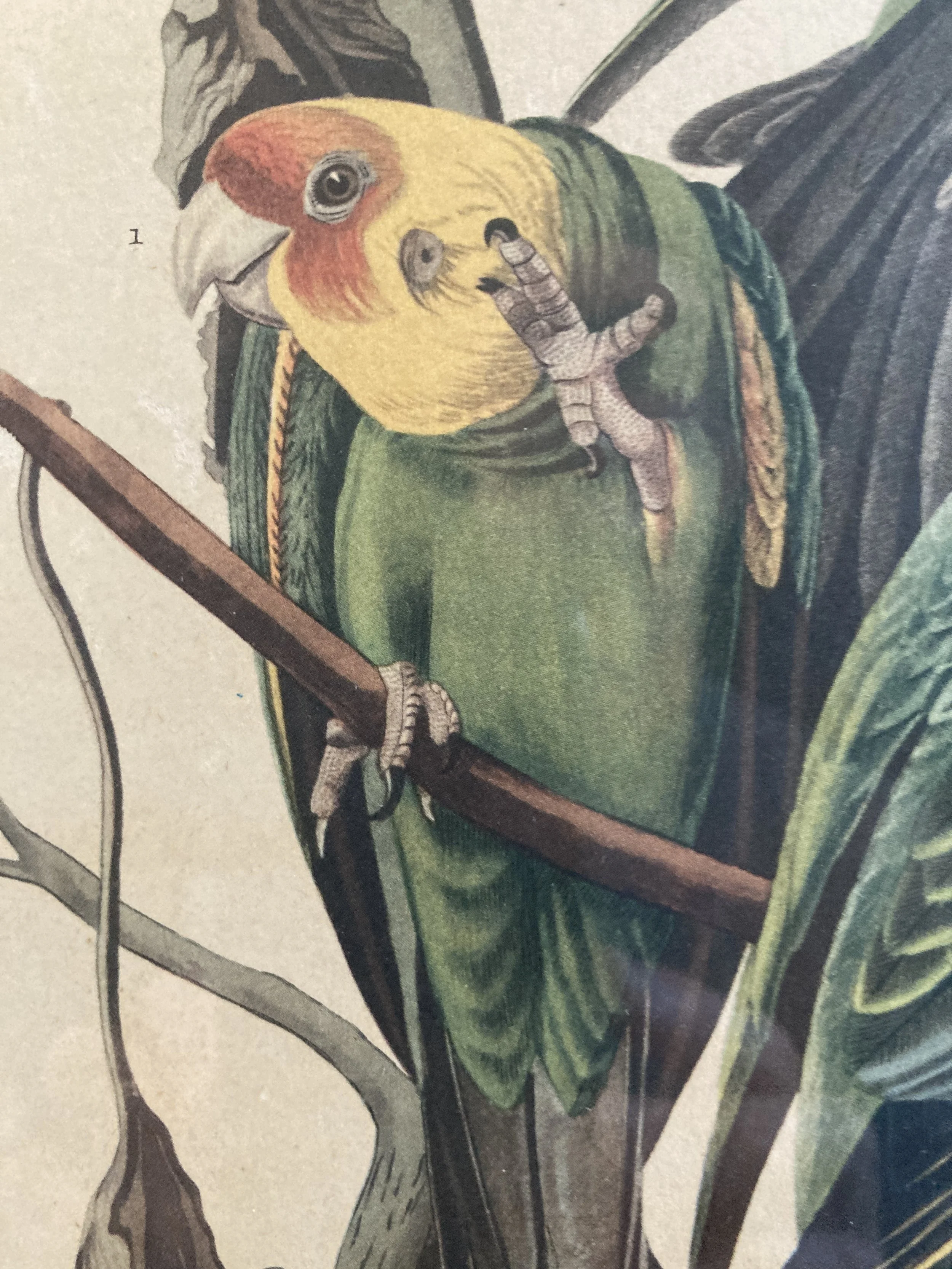 FJA0002 DETAIL 4.JPG