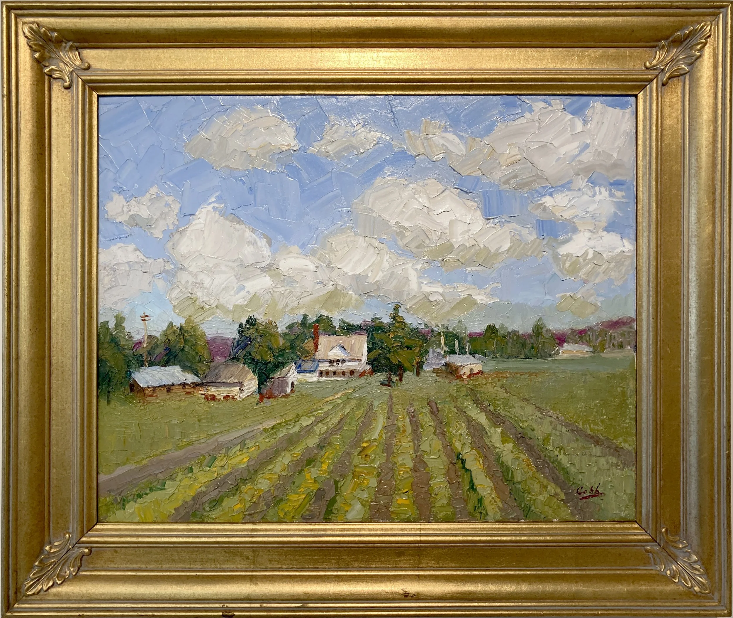 Susan’s Farm