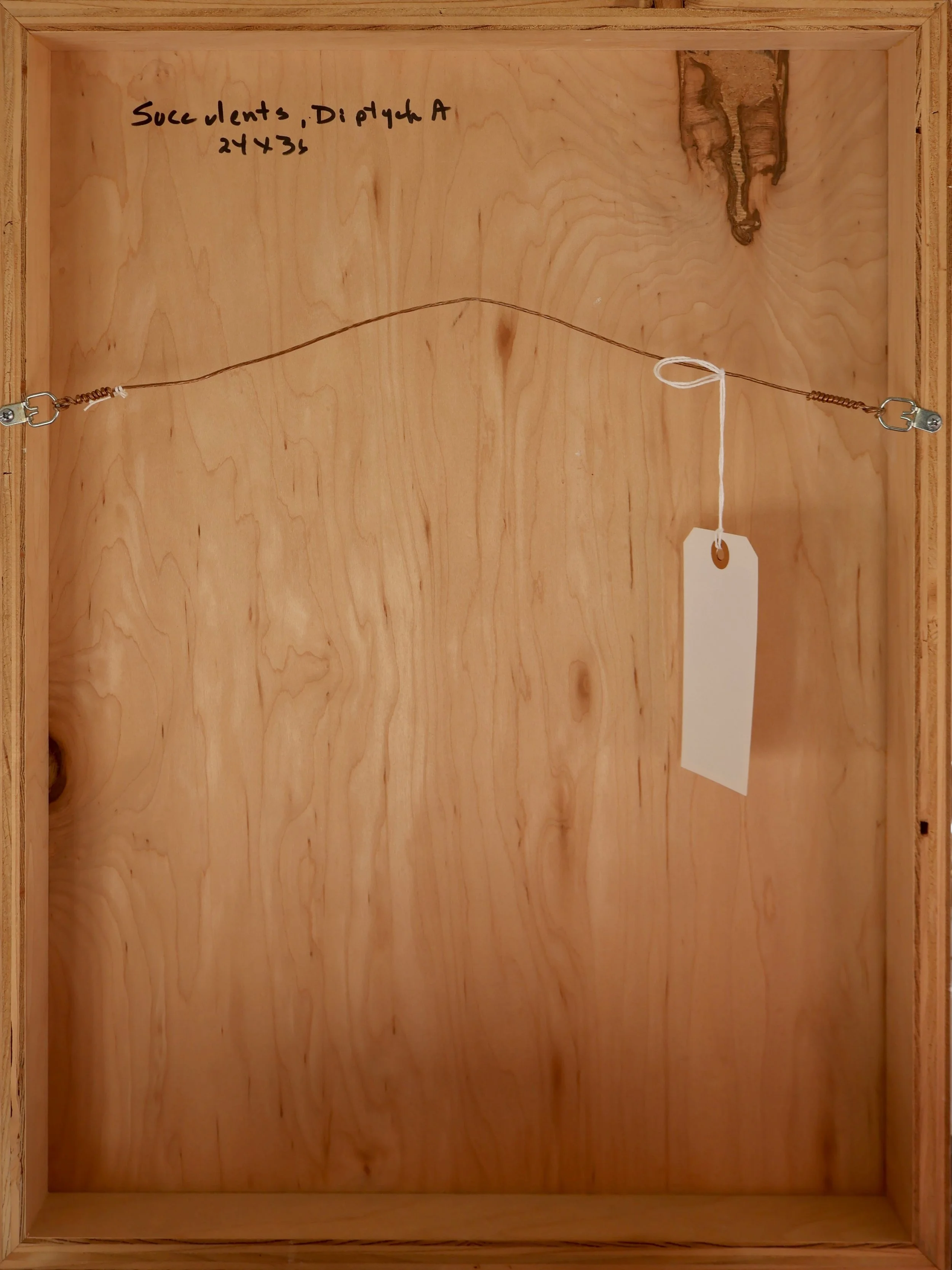 JTW0037A BACK.JPG
