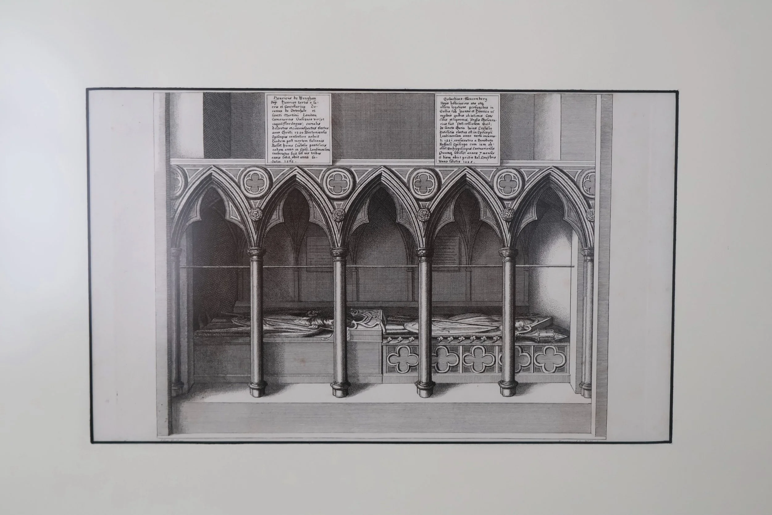 FWF0003 FULL NO FRAME.JPG