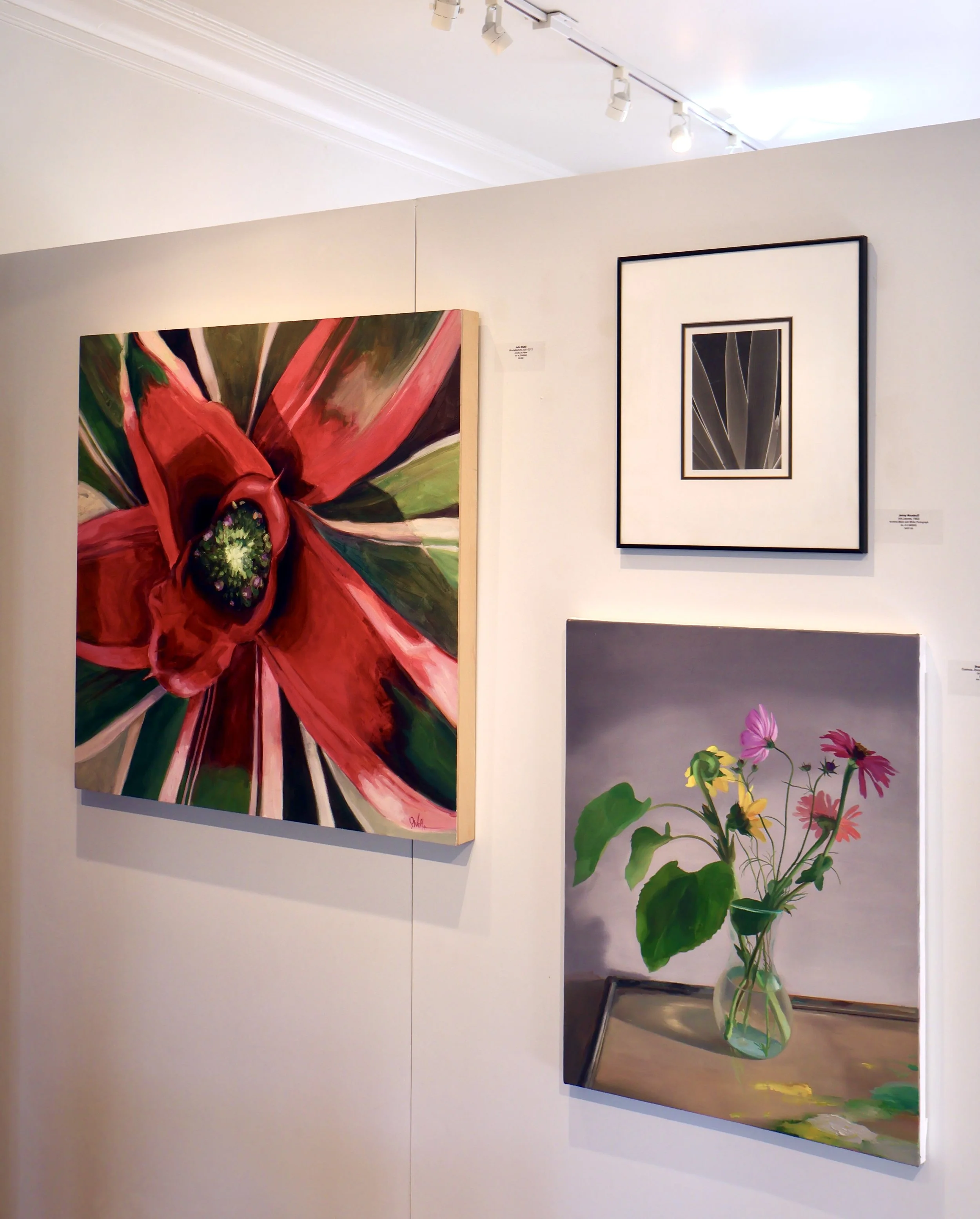 JTW0040 GALLERY.JPG