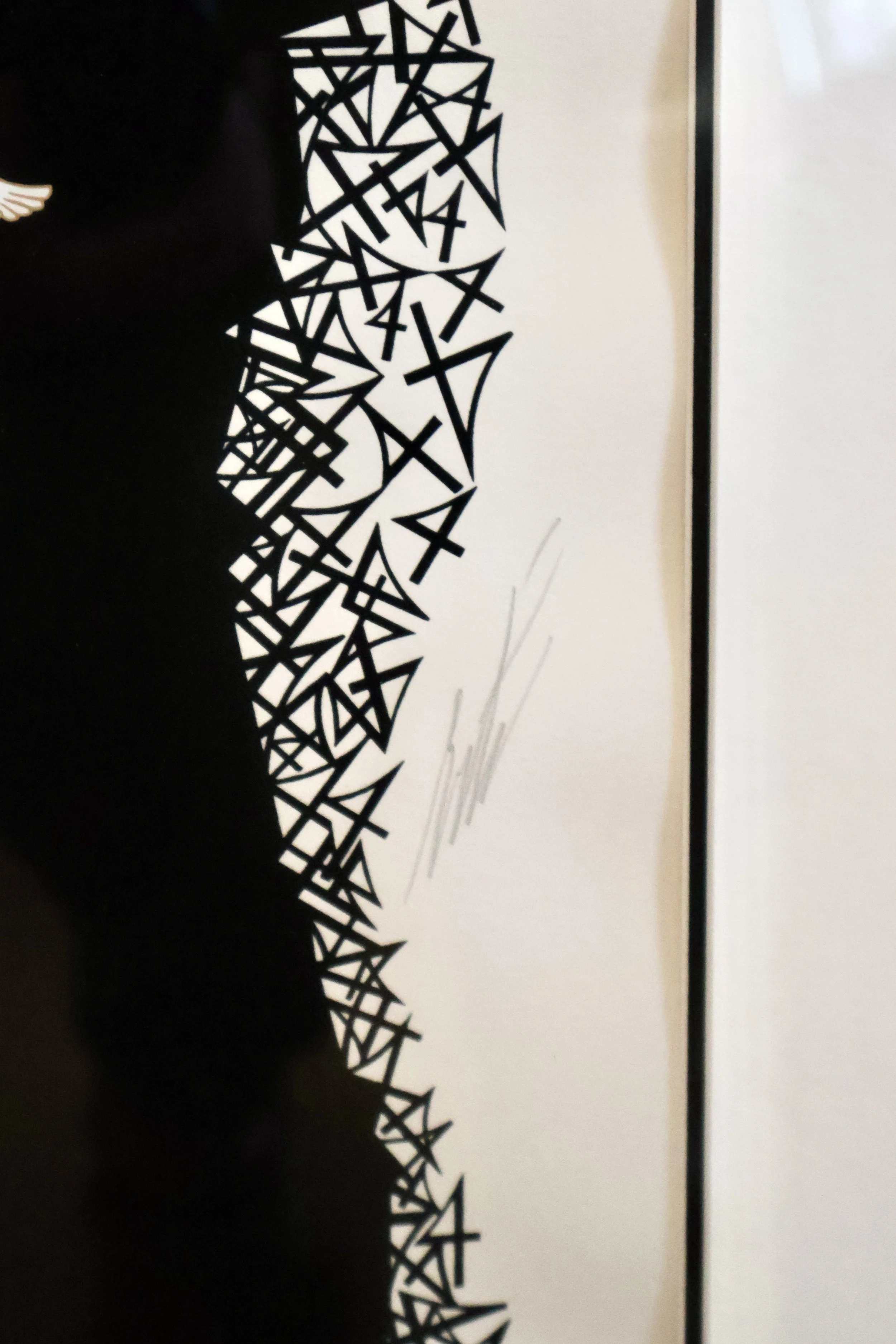 CVS0003 SIGNATURE.JPG