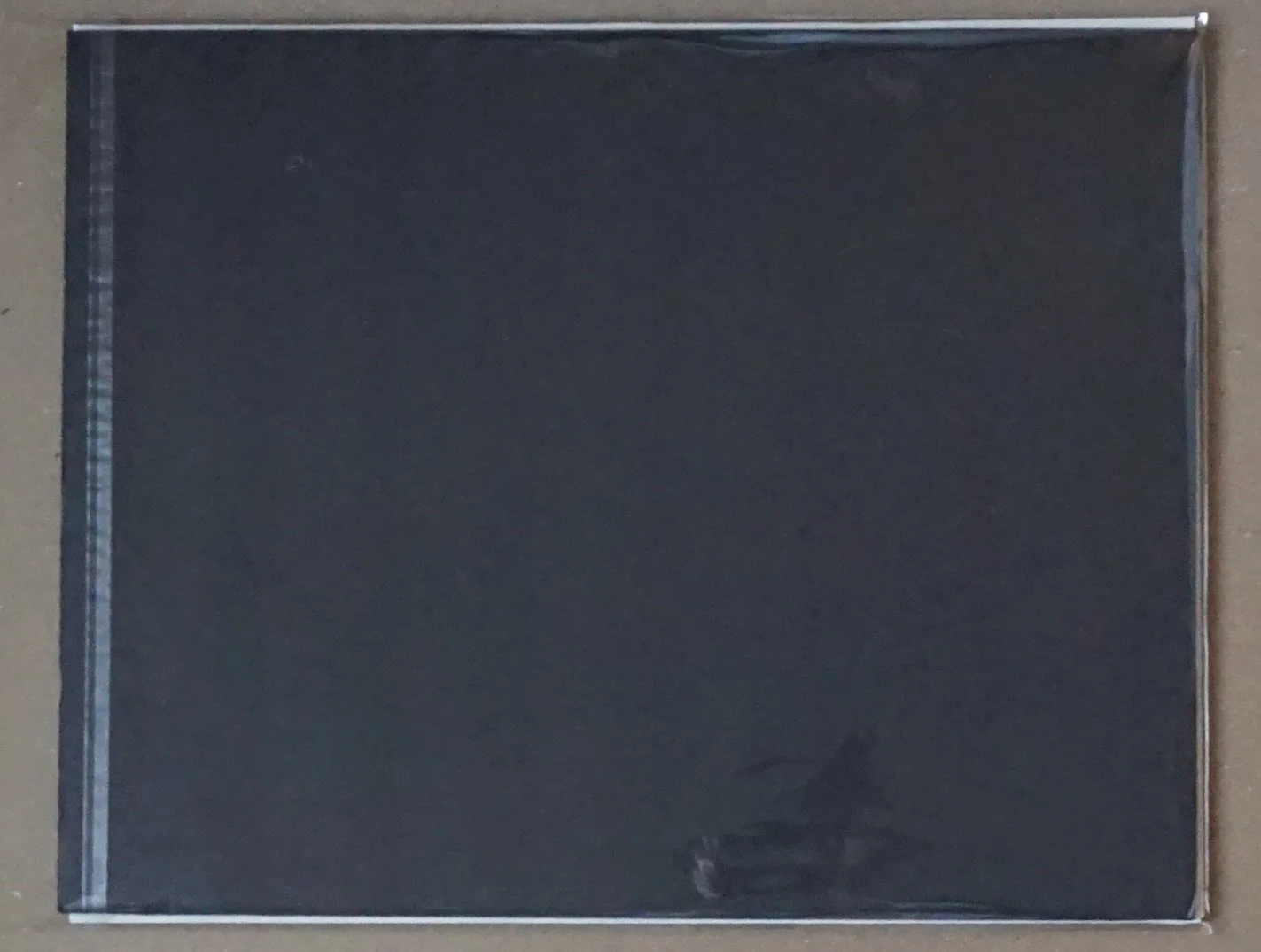 Martin Park back.JPG