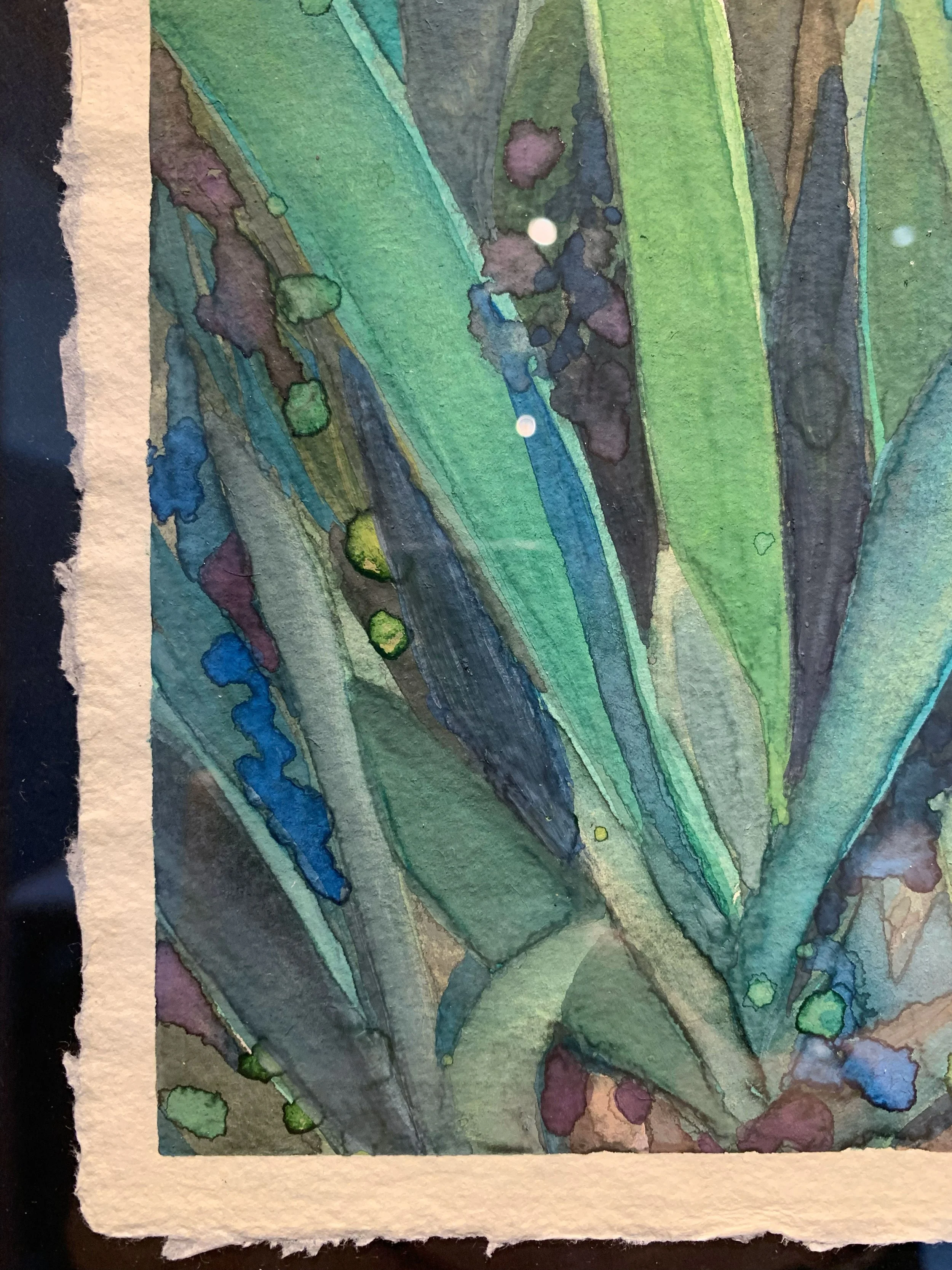 vbc0007-iris-dance (2).jpg