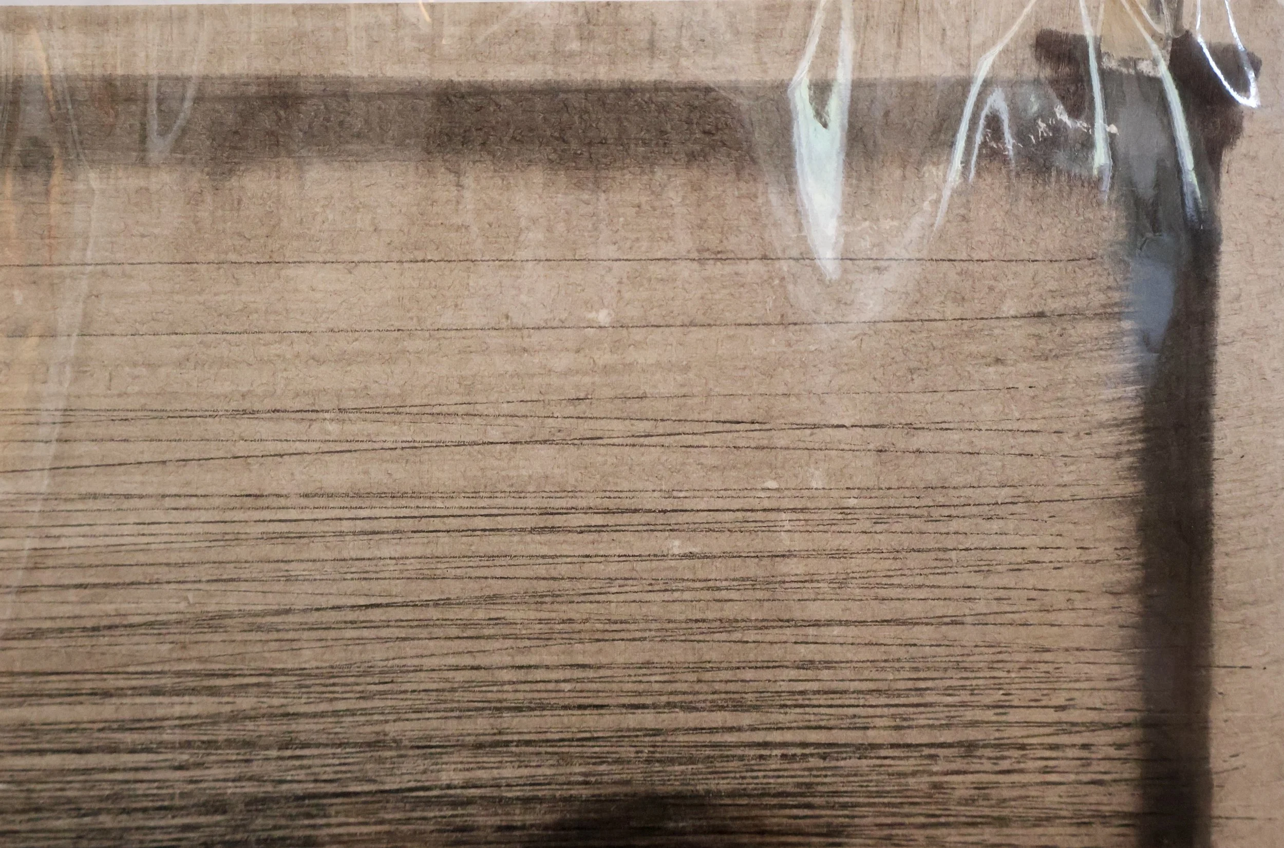 FPa0001 DETAIL 1.JPG