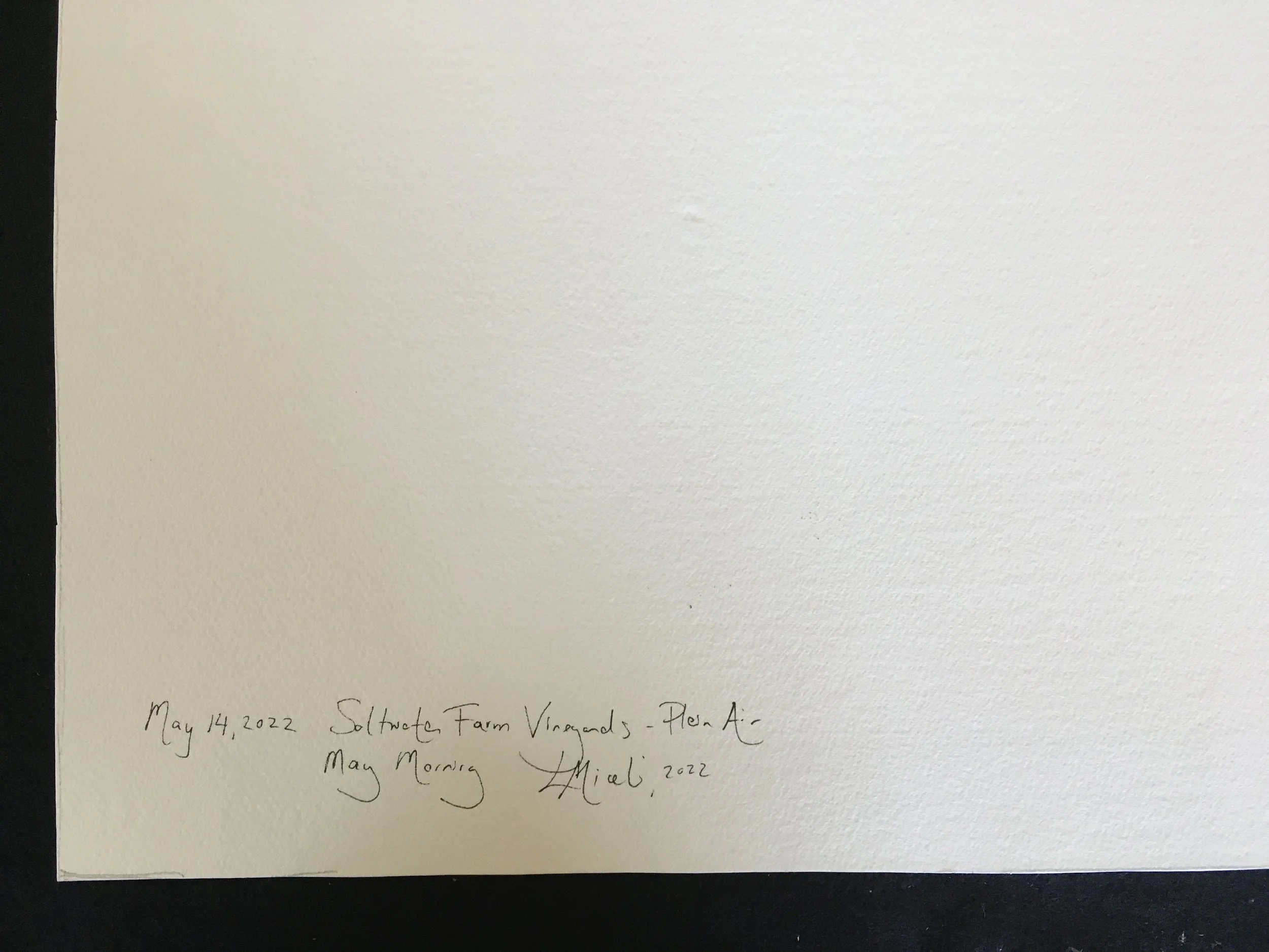 LGM0013 BACK TITLE.JPG