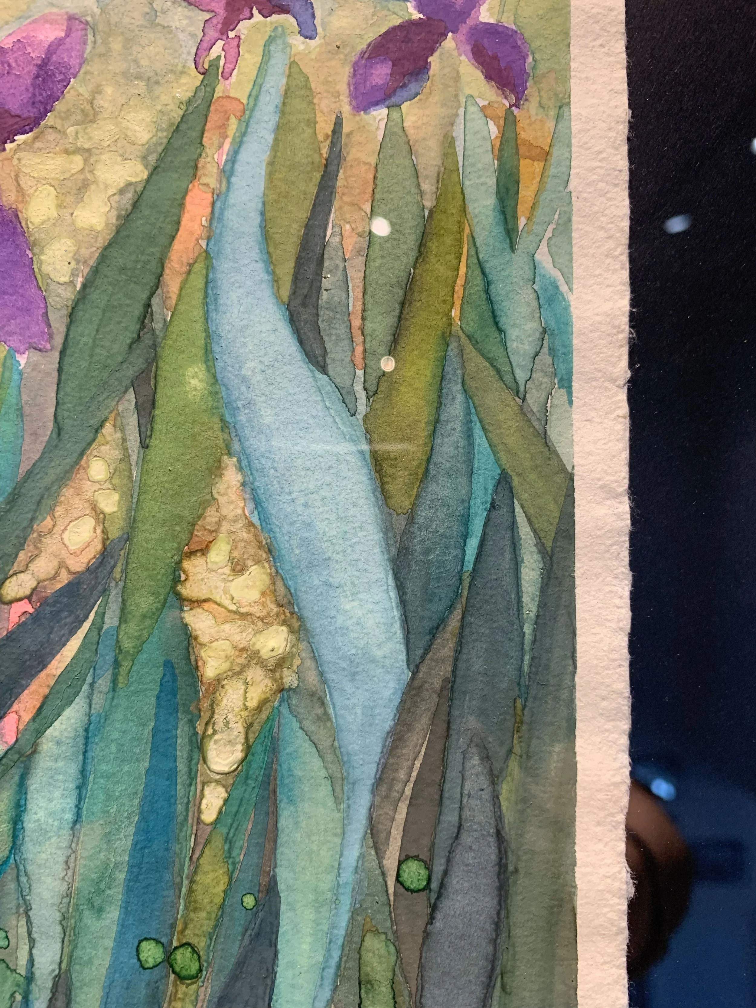 vbc0007-iris-dance (13).jpg