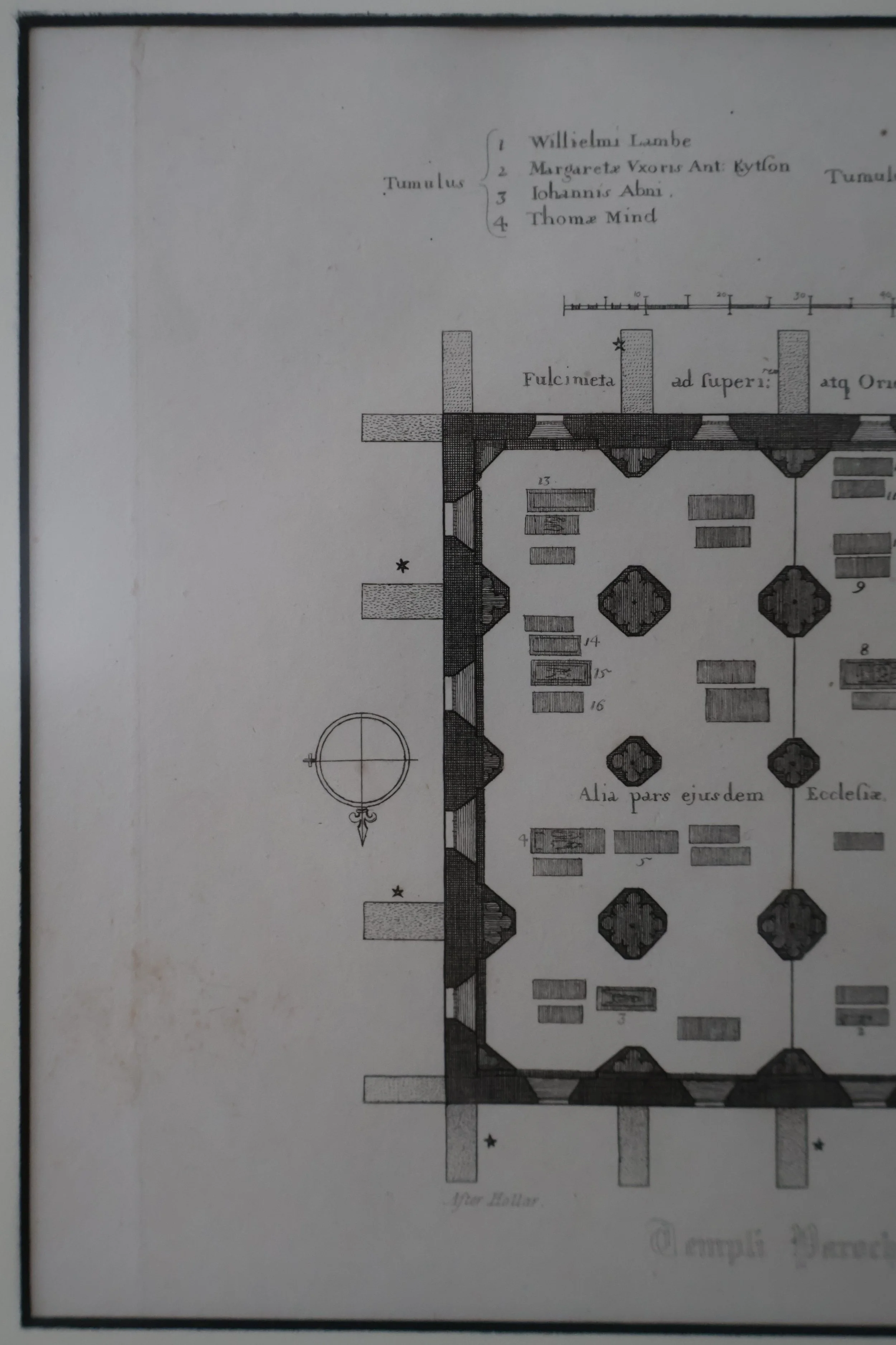 FWF0002 DETAIL 2.JPG